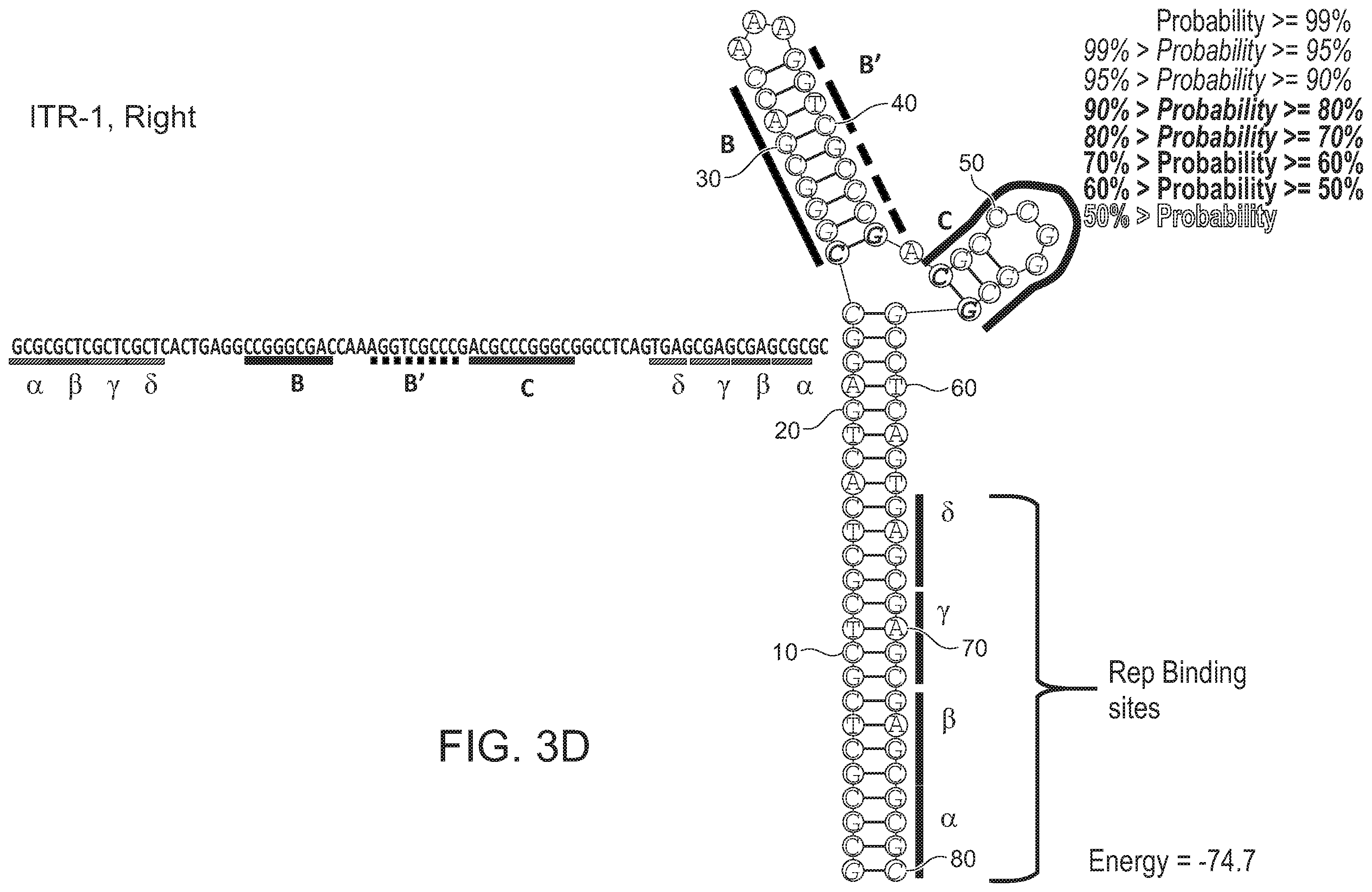 Patent US12338275 Figure 10 – Non-viral DNA vectors and uses thereof for expressing FVIII therapeutics