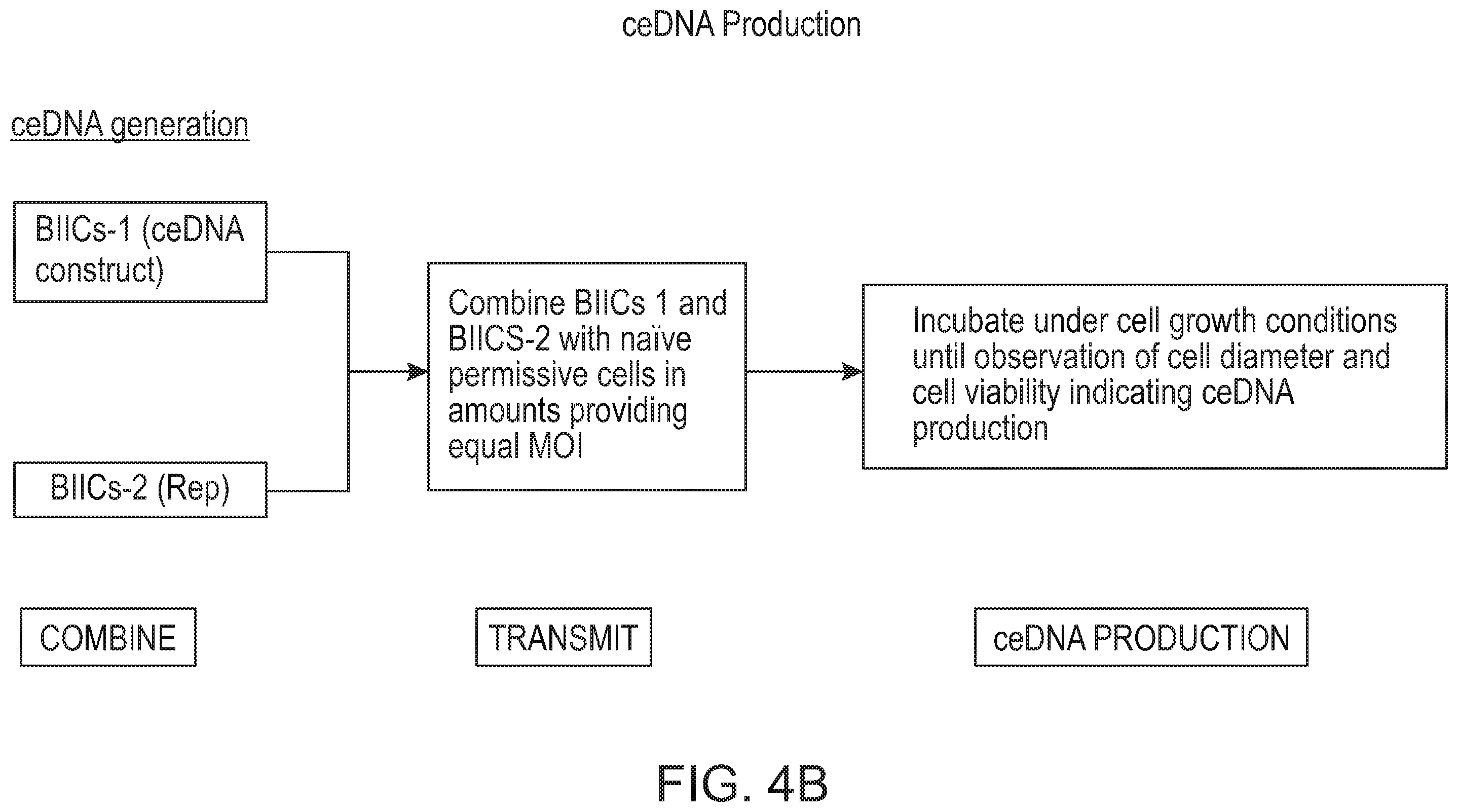 Patent US12338275 Figure 12 – Non-viral DNA vectors and uses thereof for expressing FVIII therapeutics