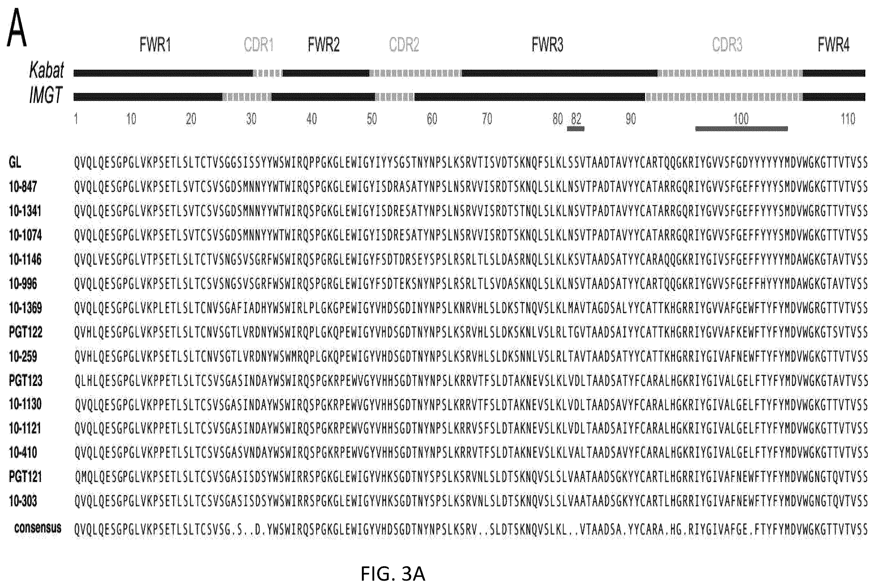 Patent US12338277 Figure 5 – Broadly neutralizing antibodies that target HIV ENV V3 N-glycans