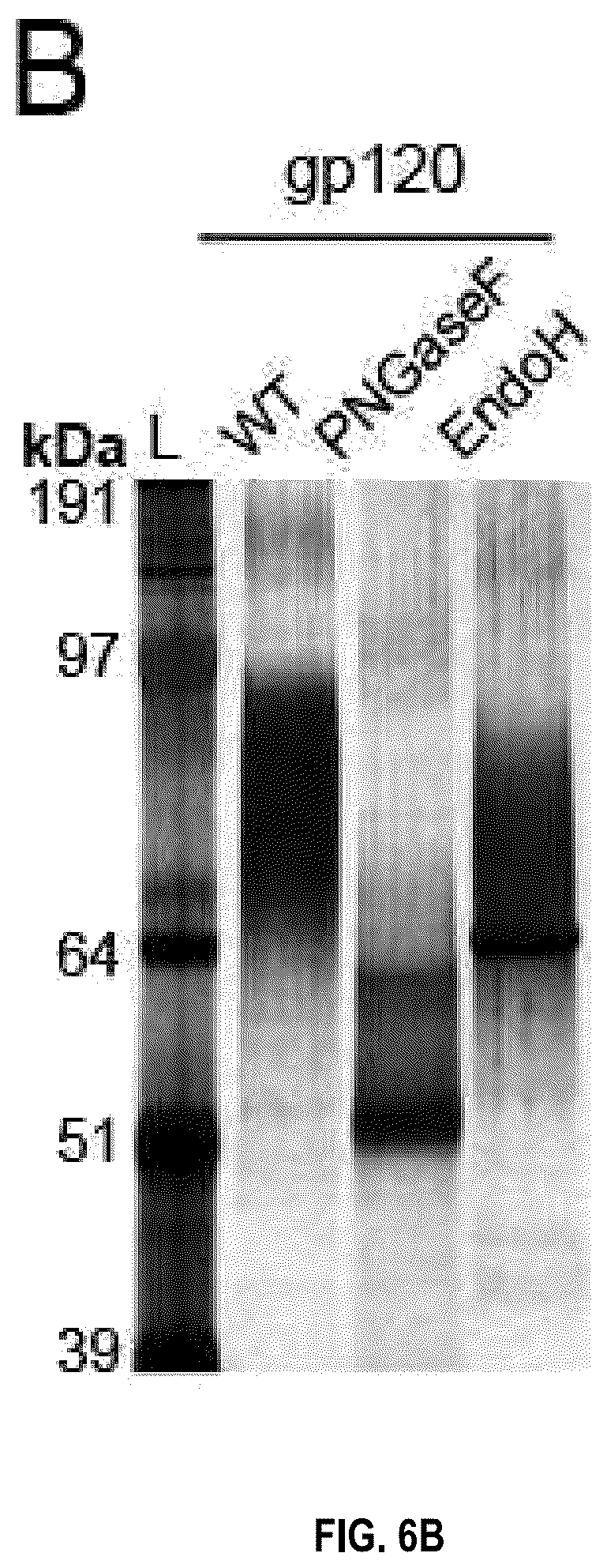 Patent US12338277 Figure 12 – Broadly neutralizing antibodies that target HIV ENV V3 N-glycans