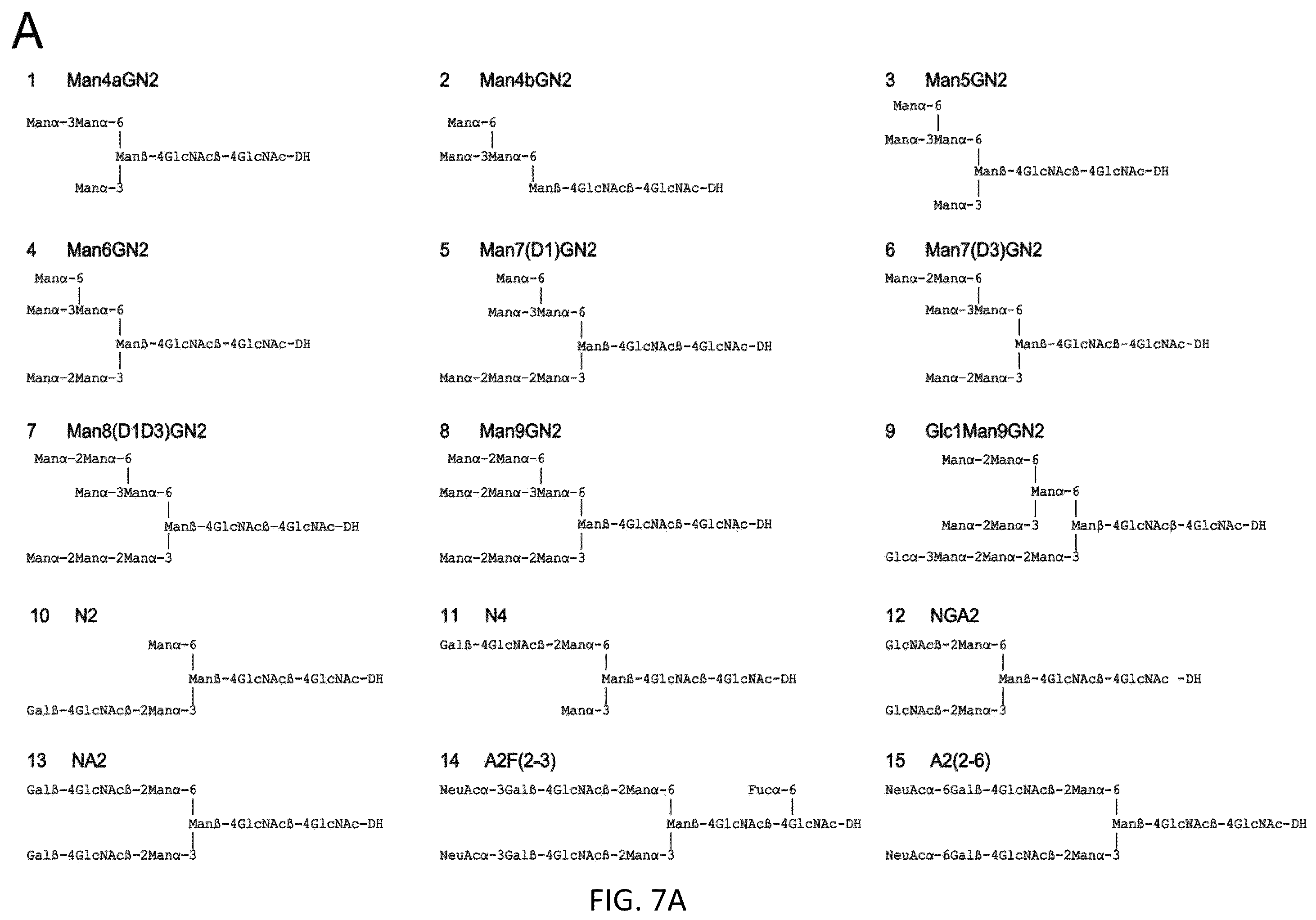 Patent US12338277 Figure 15 – Broadly neutralizing antibodies that target HIV ENV V3 N-glycans