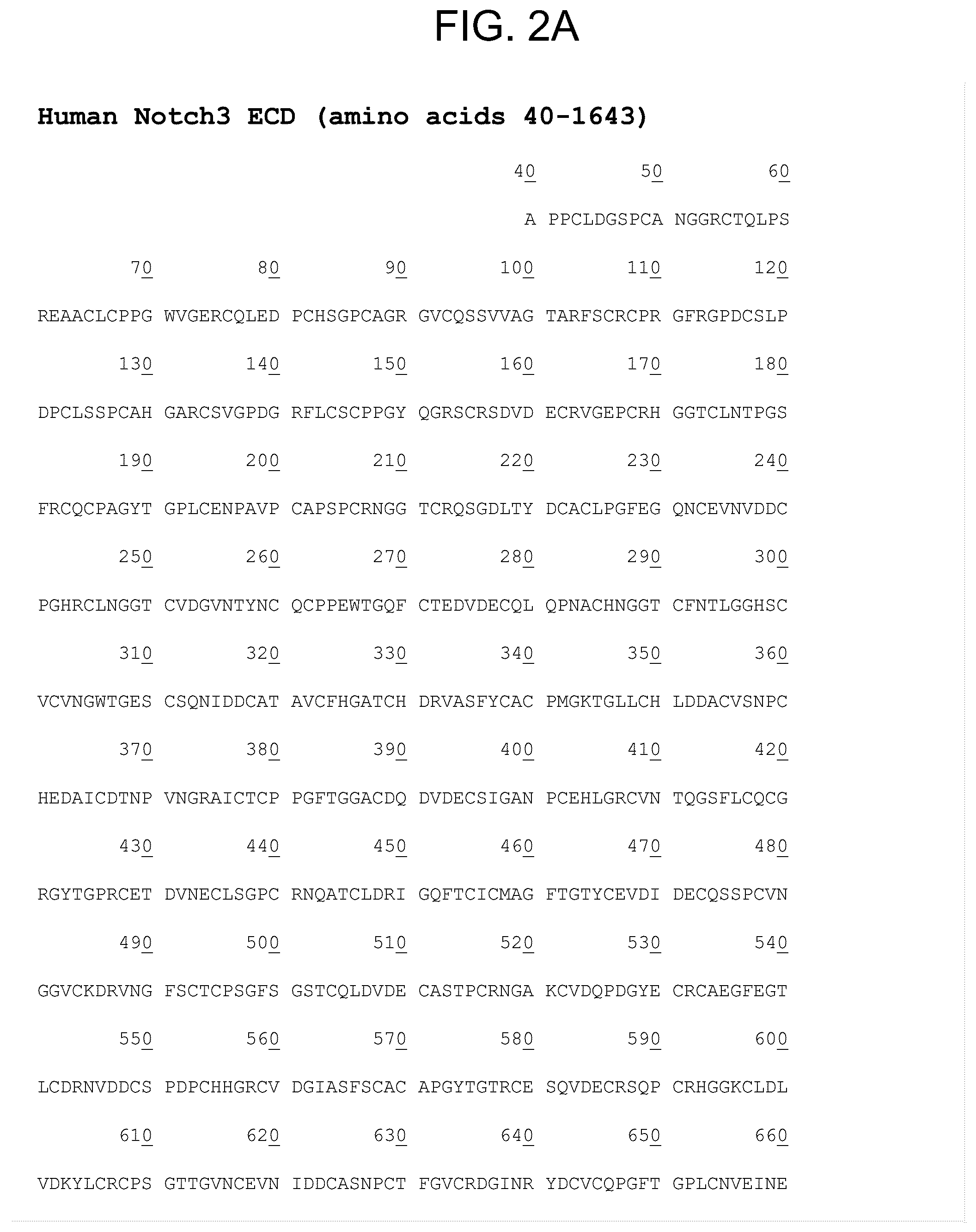Patent US12338282 Figure 2 – Anti-Notch3 antibody