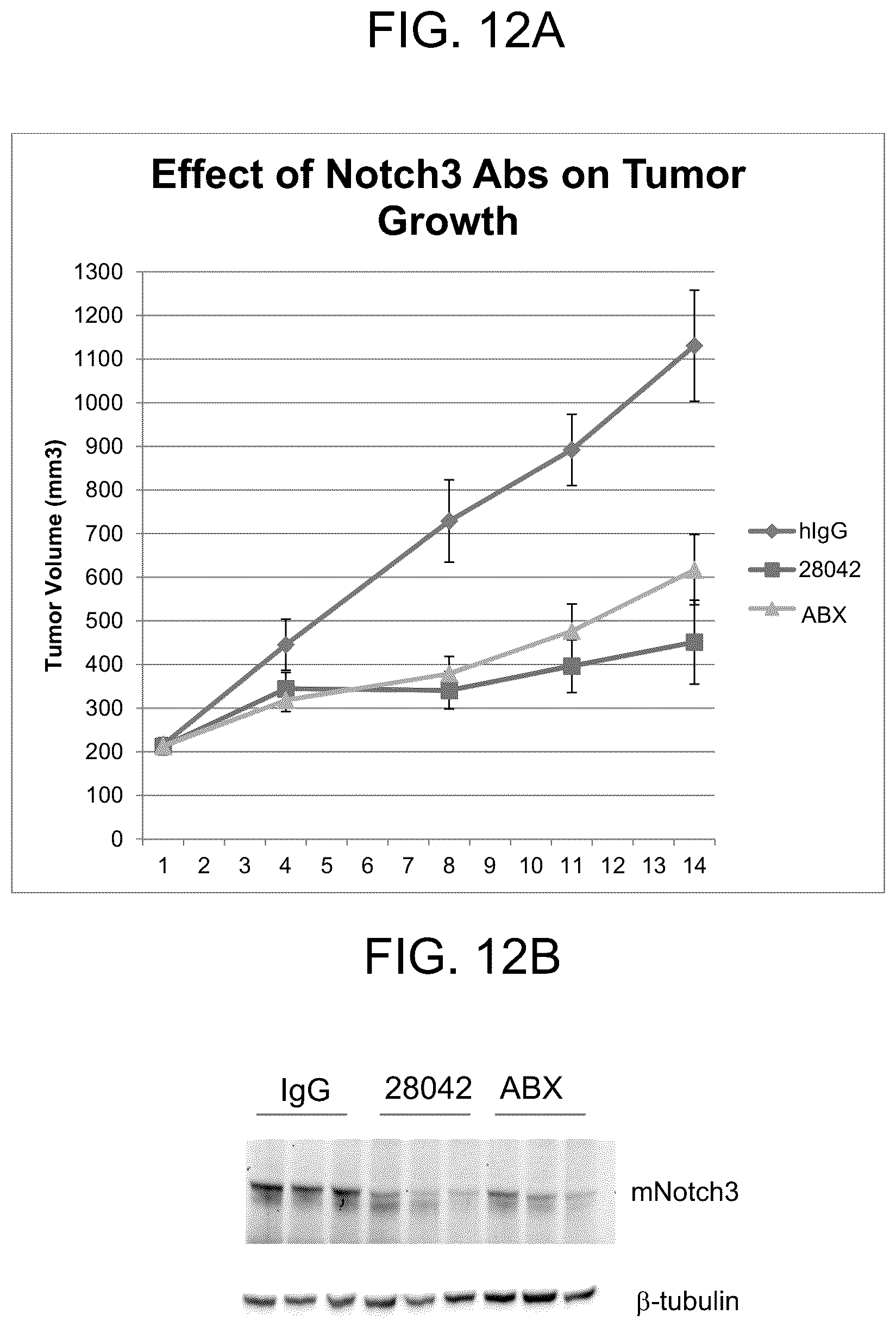 Patent US12338282 Figure 14 – Anti-Notch3 antibody