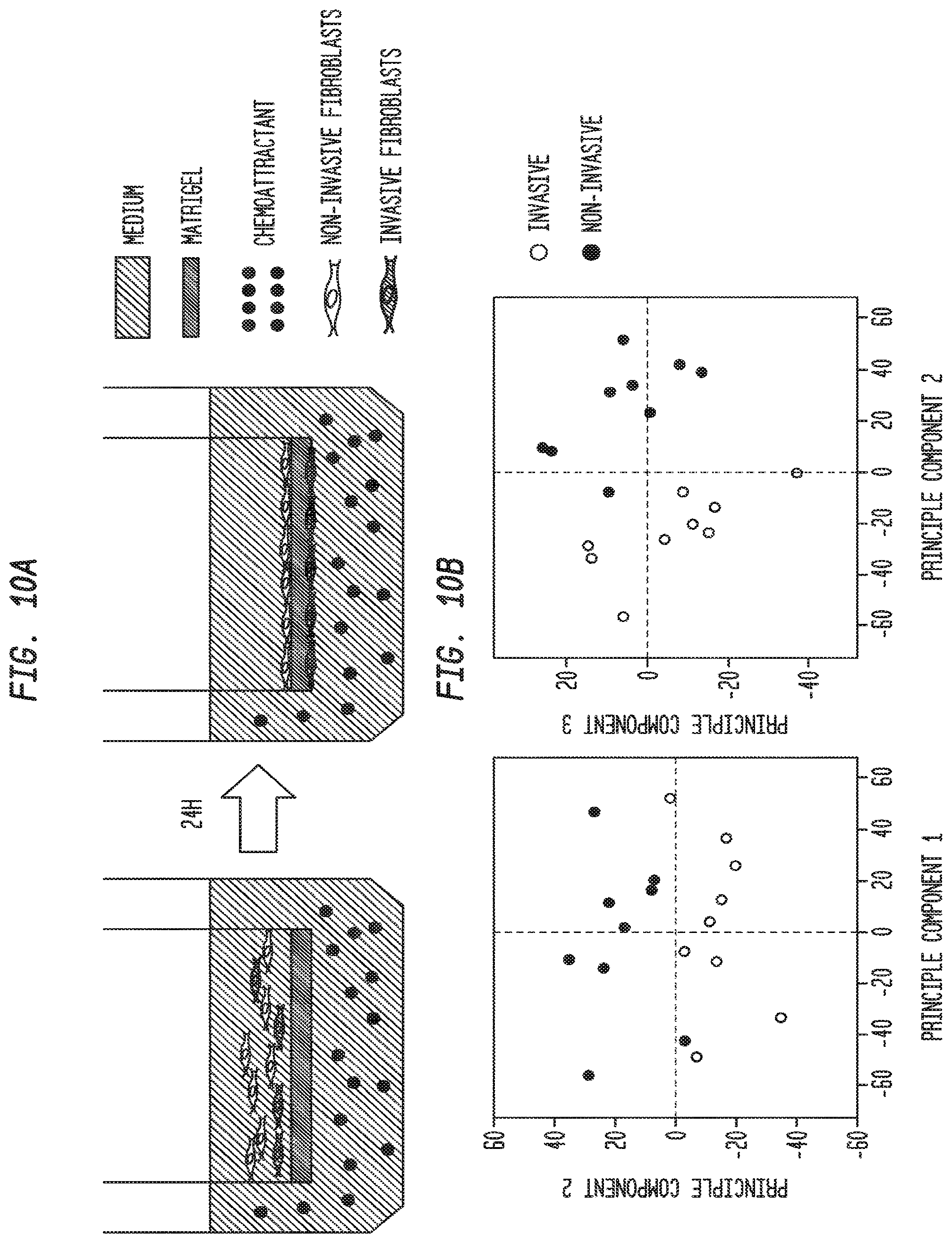 Patent US12338283 Figure 14 – Methods for targeting the immune checkpoint PD1 pathway for treating pulmonary fibrosis