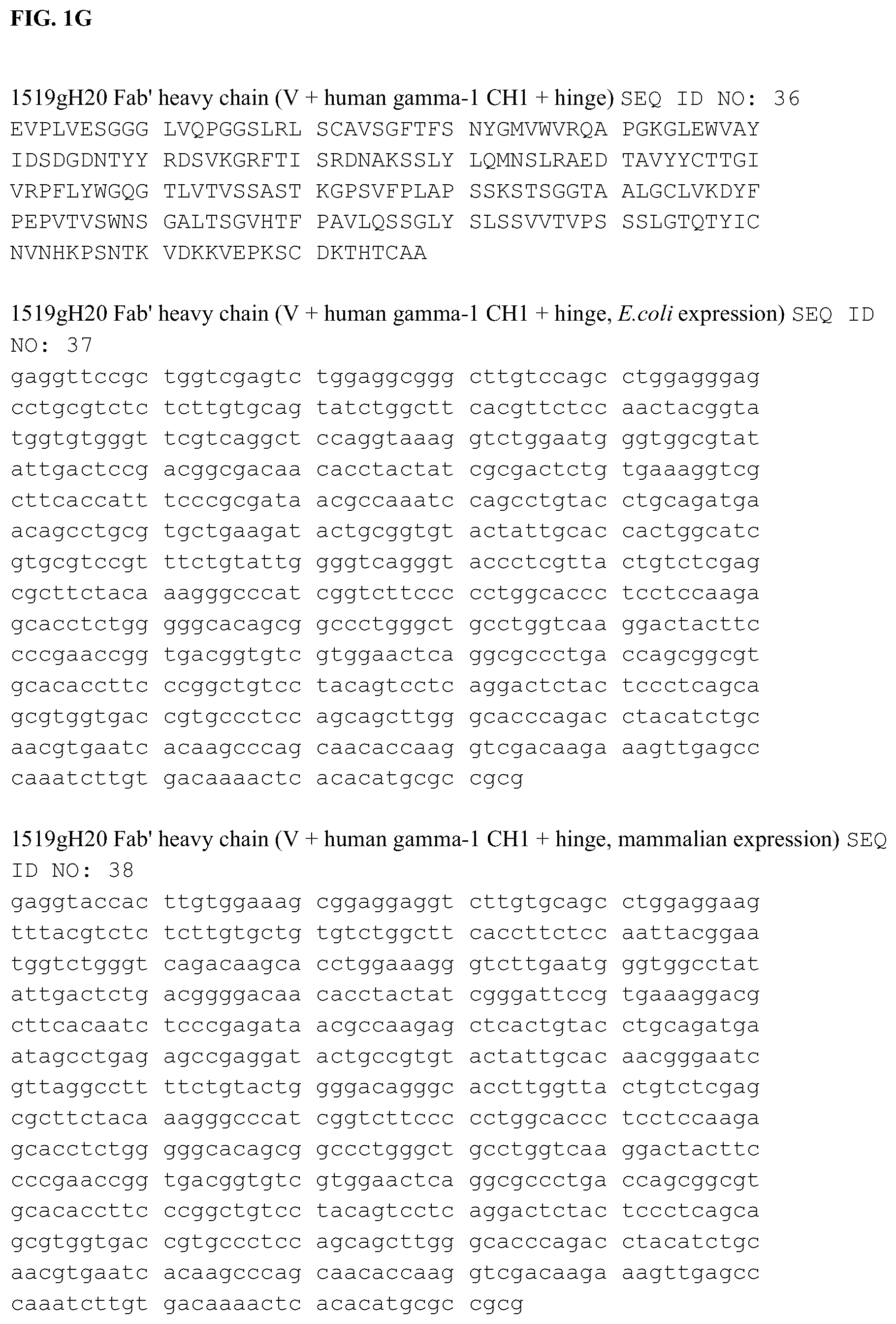 Patent US12338285 Figure 8 – Anti-FcRn antibodies