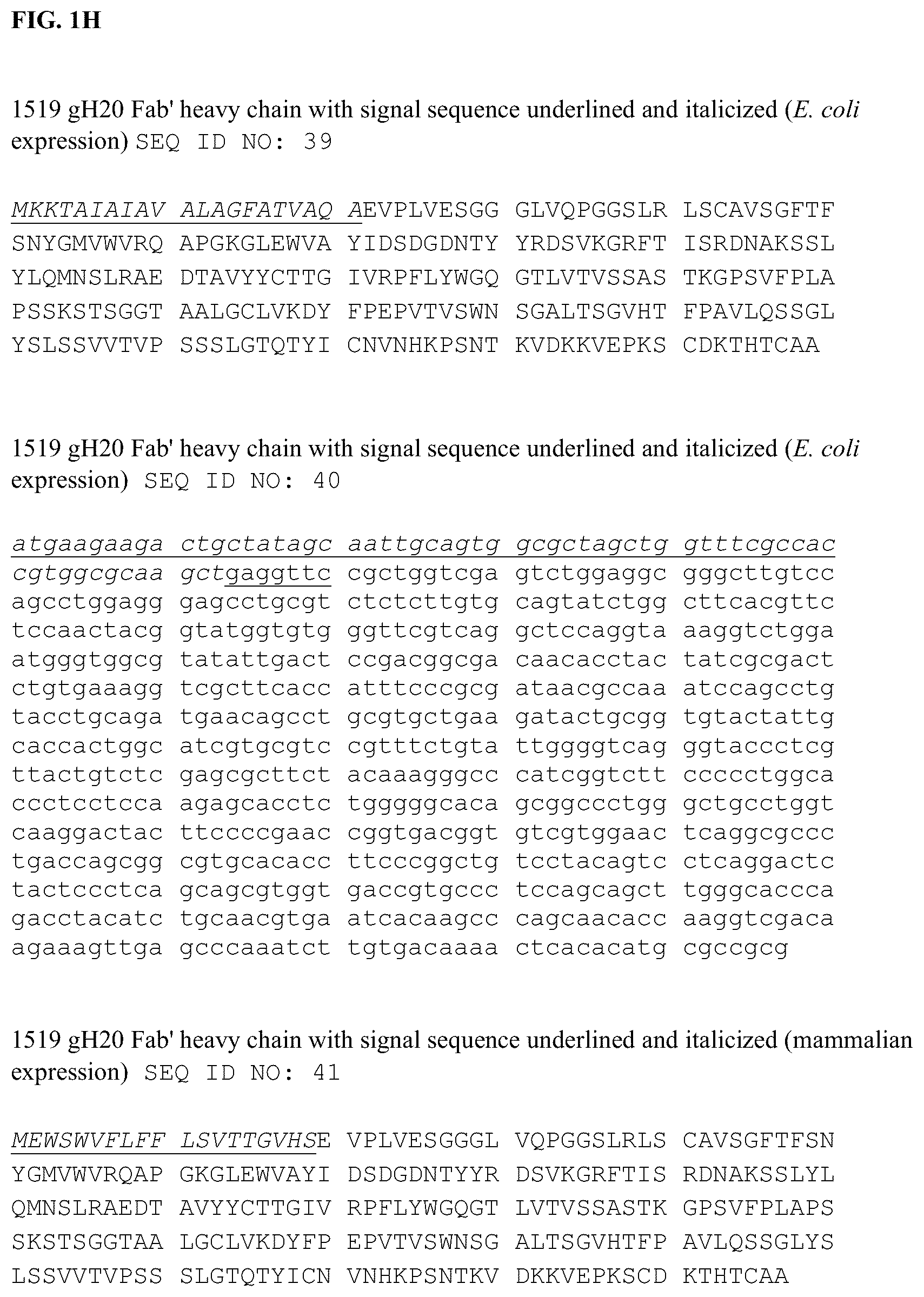 Patent US12338285 Figure 9 – Anti-FcRn antibodies