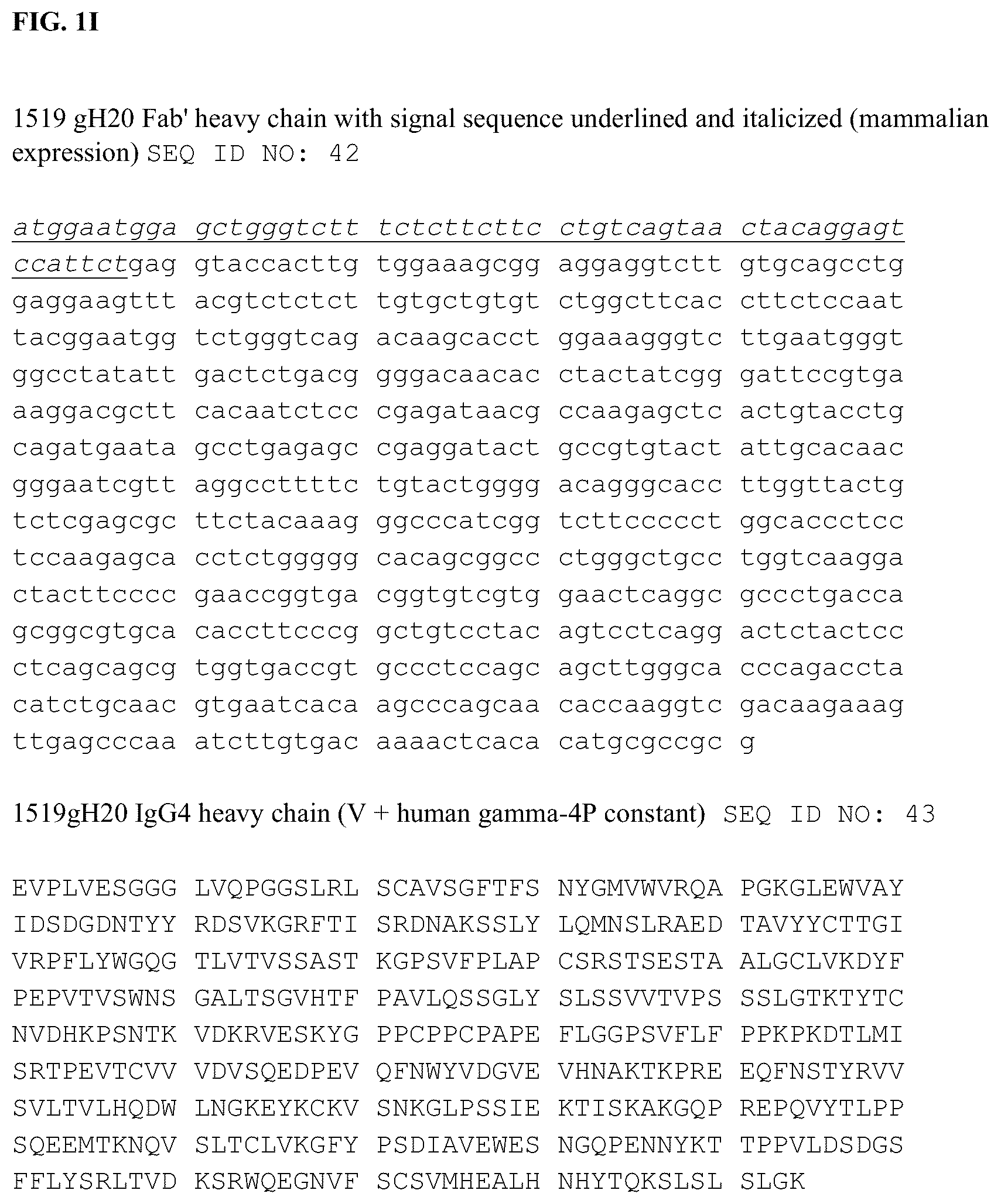 Patent US12338285 Figure 10 – Anti-FcRn antibodies