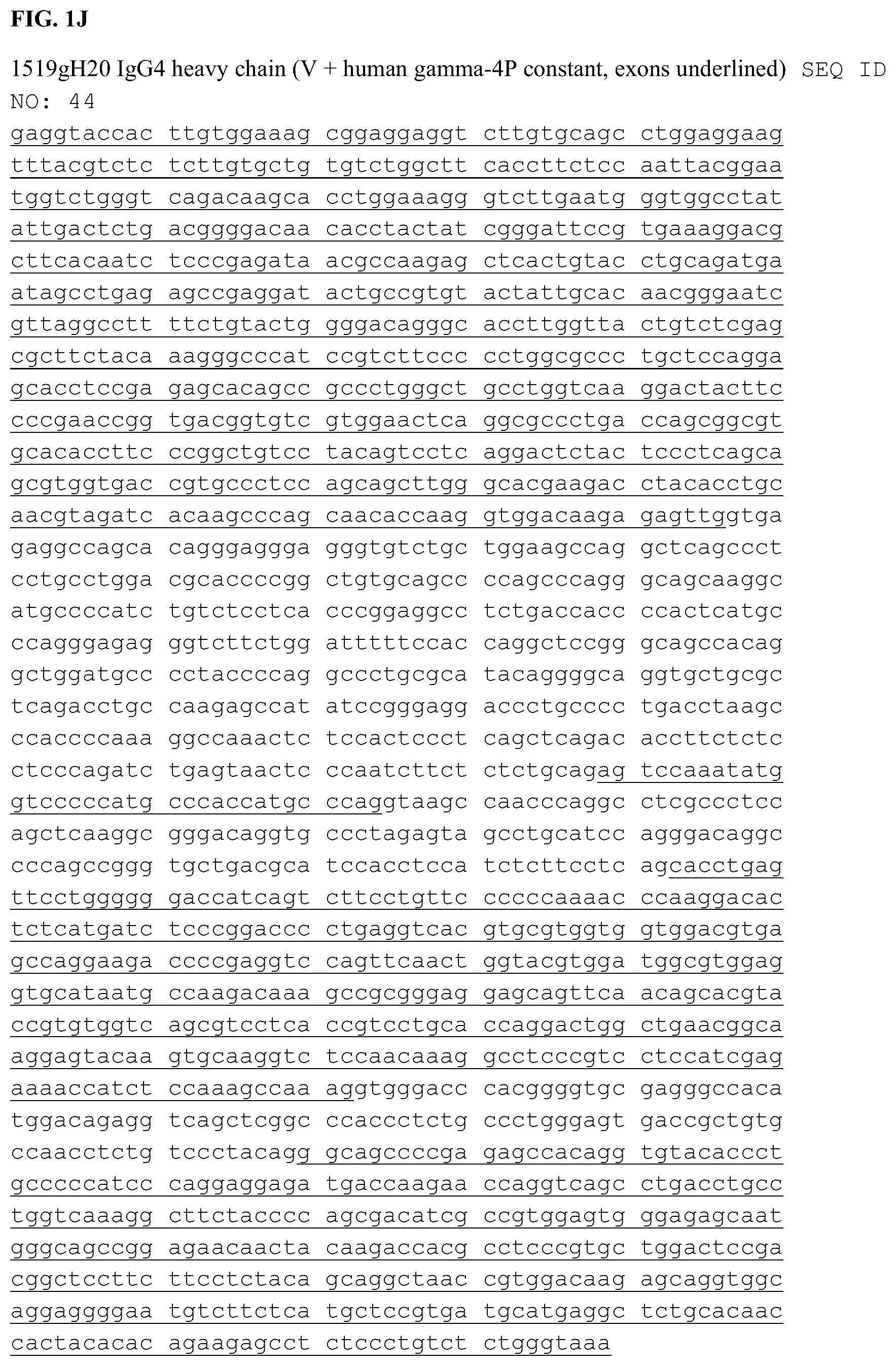 Patent US12338285 Figure 11 – Anti-FcRn antibodies