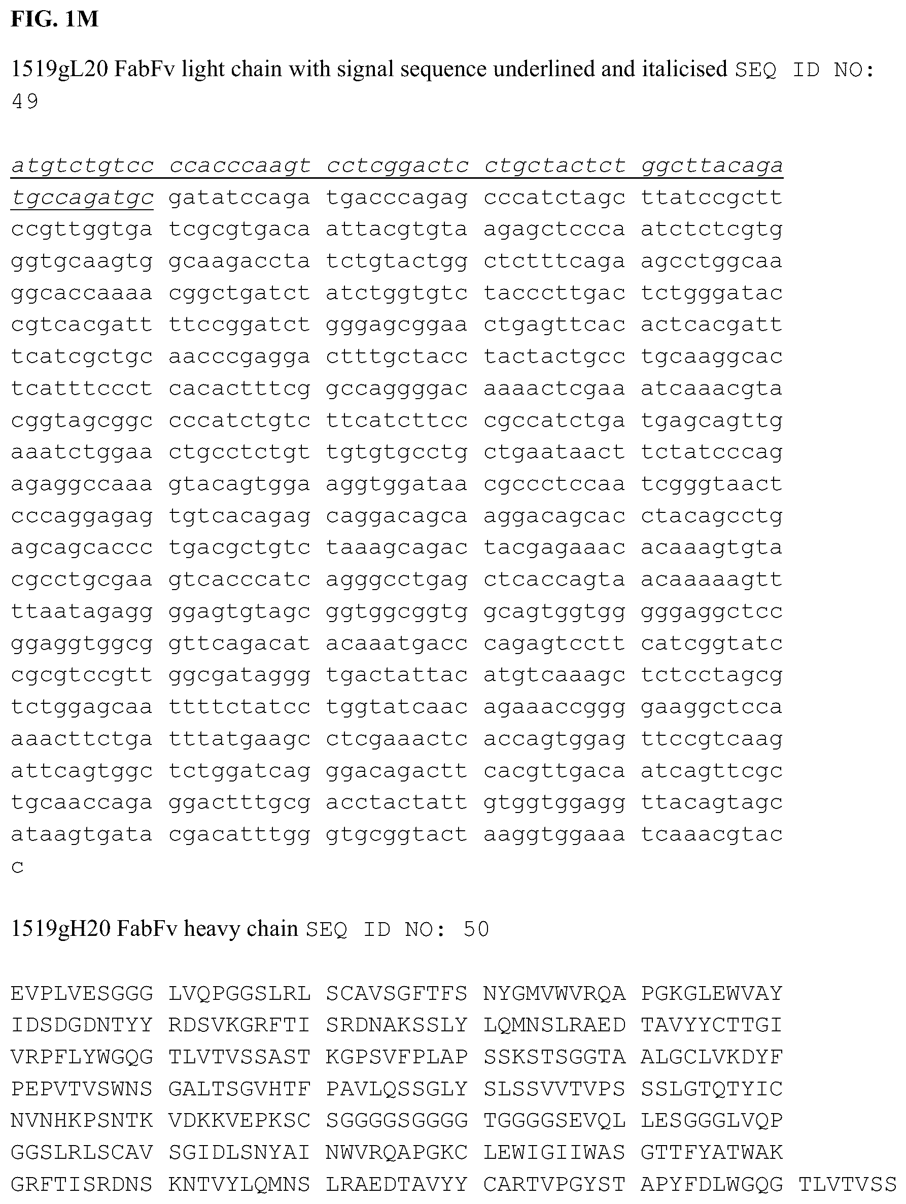 Patent US12338285 Figure 14 – Anti-FcRn antibodies