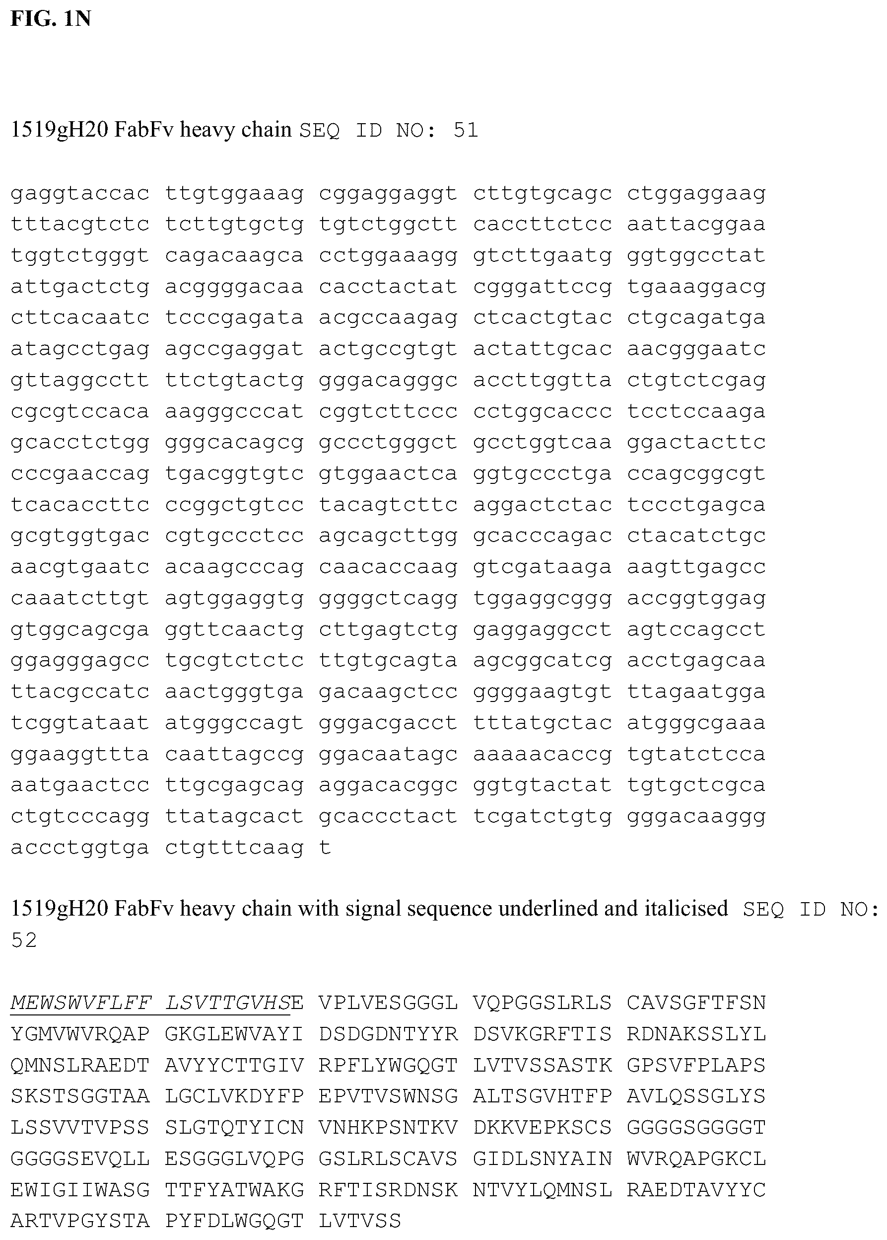 Patent US12338285 Figure 15 – Anti-FcRn antibodies