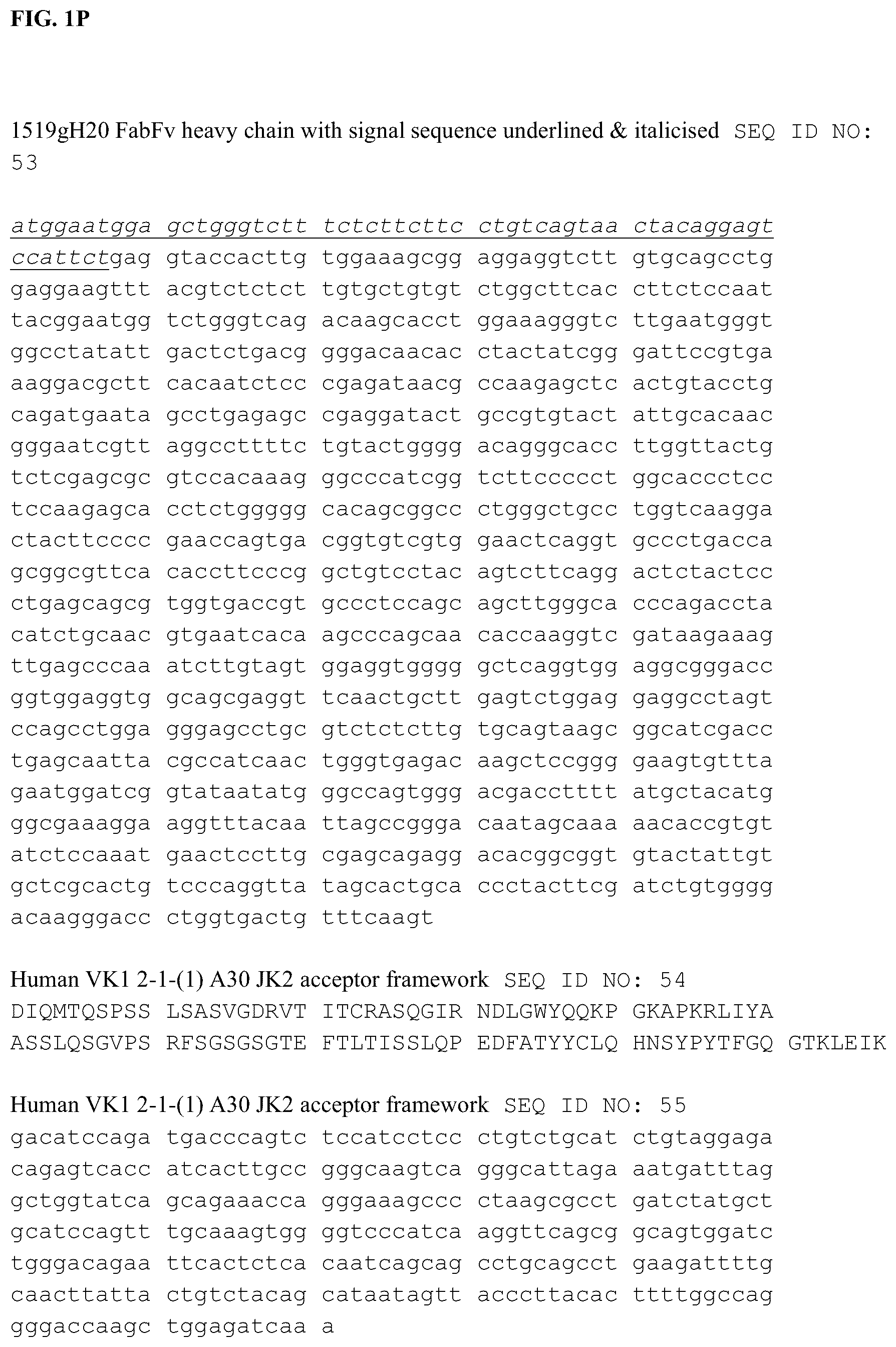 Patent US12338285 Figure 16 – Anti-FcRn antibodies