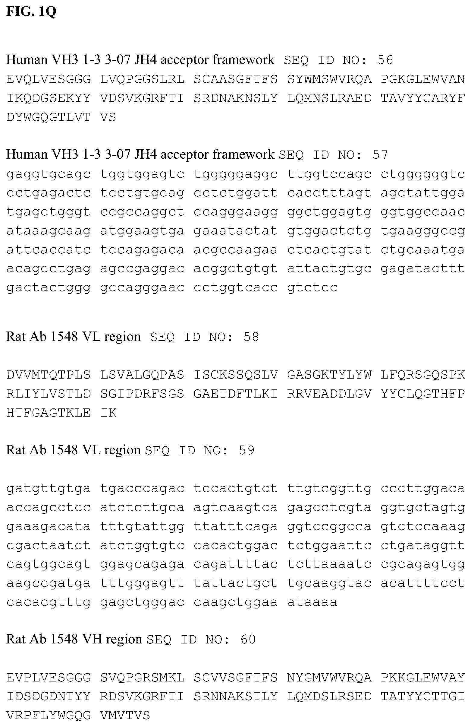 Patent US12338285 Figure 17 – Anti-FcRn antibodies