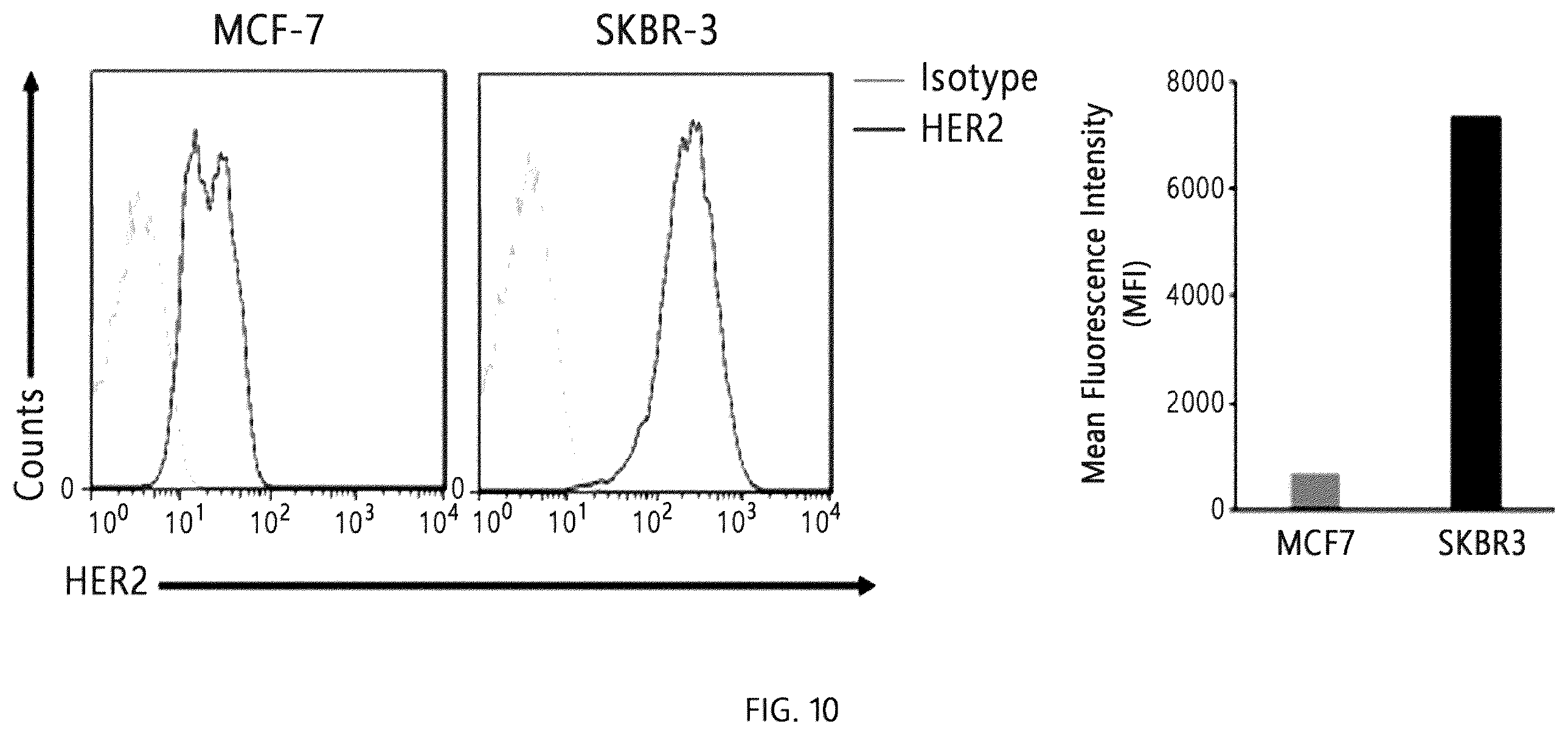 Patent US12338286 Figure 13 – Aglycosylated antibody Fc region for treating cancer