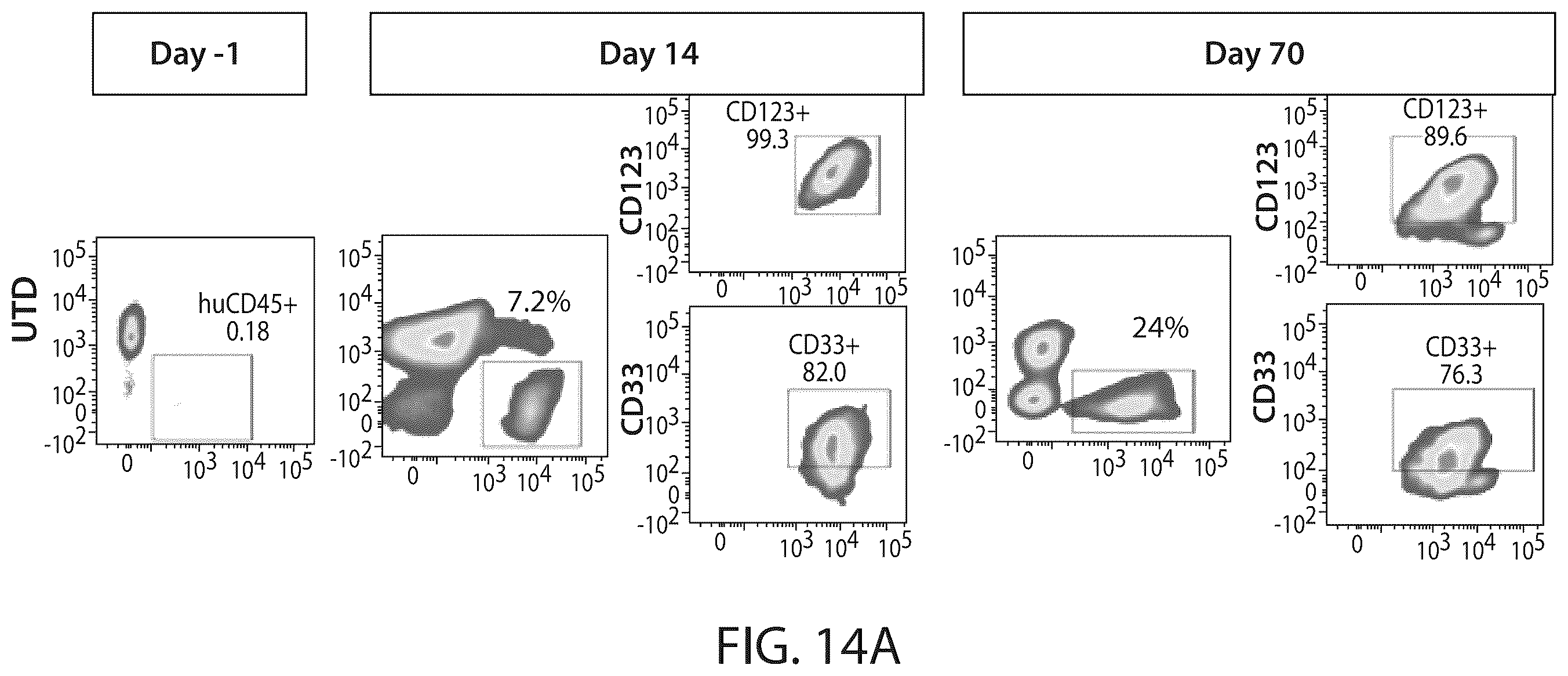 Patent US12338287 Figure 16 – Treatment of cancer using a CD33 chimeric antigen receptor