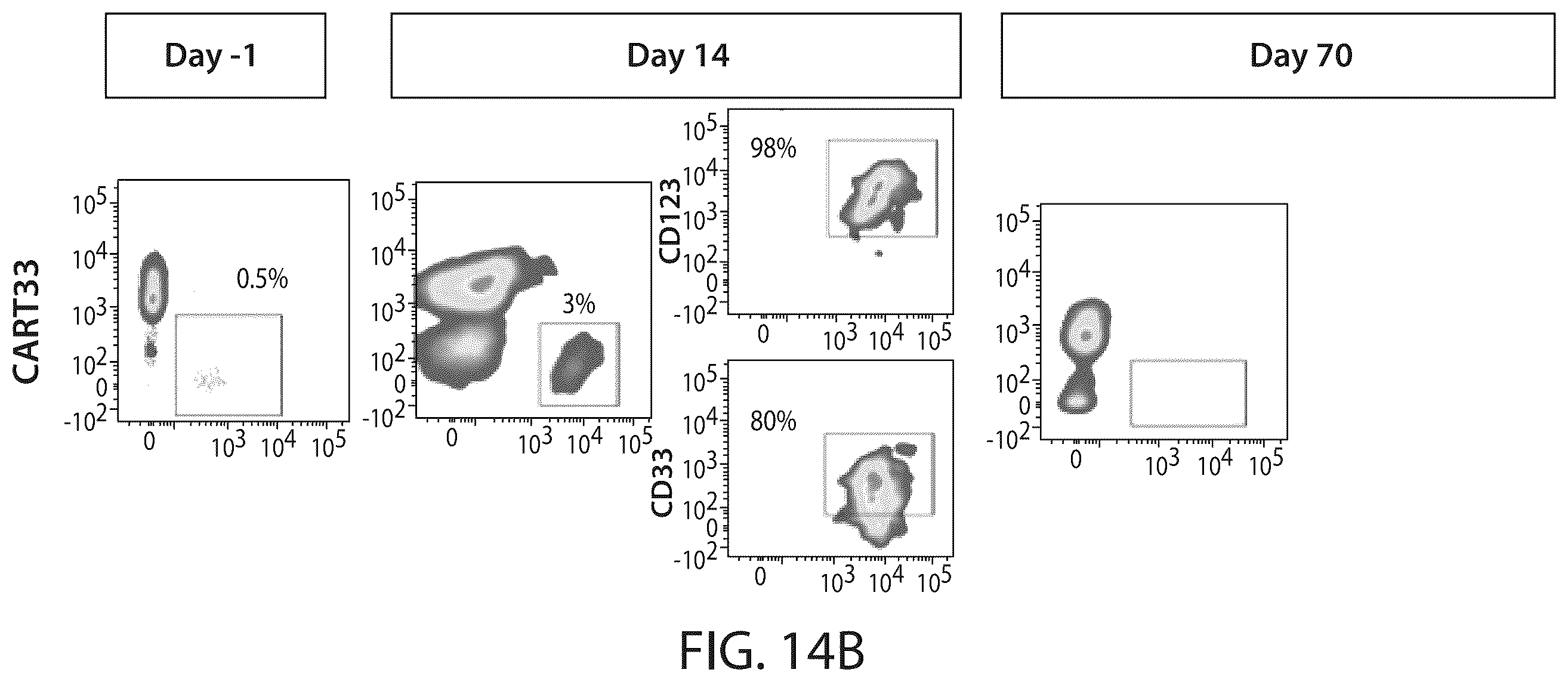 Patent US12338287 Figure 17 – Treatment of cancer using a CD33 chimeric antigen receptor
