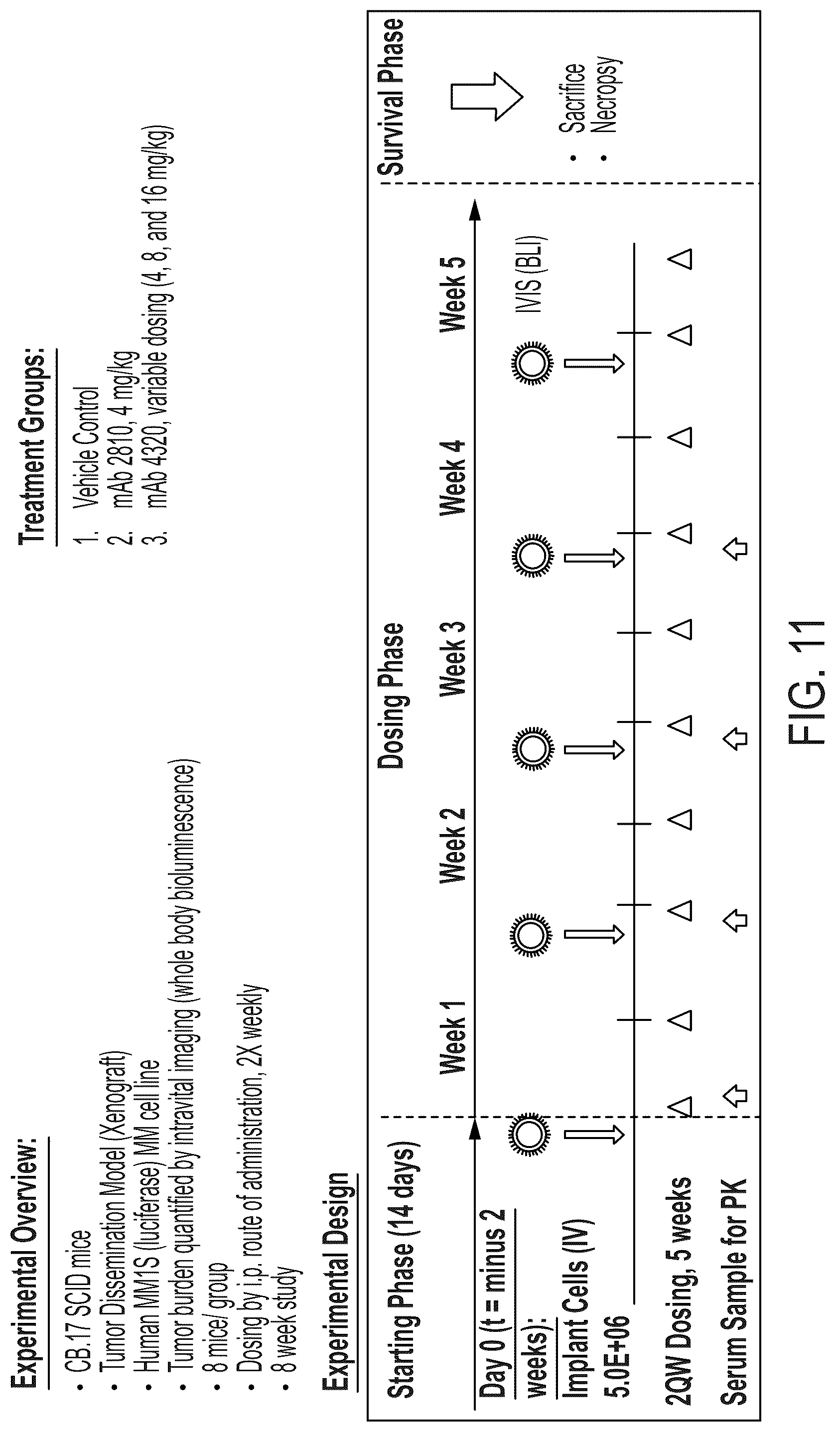 Patent US12338291 Figure 13 – Humanized antibody molecules to CD138 and uses thereof