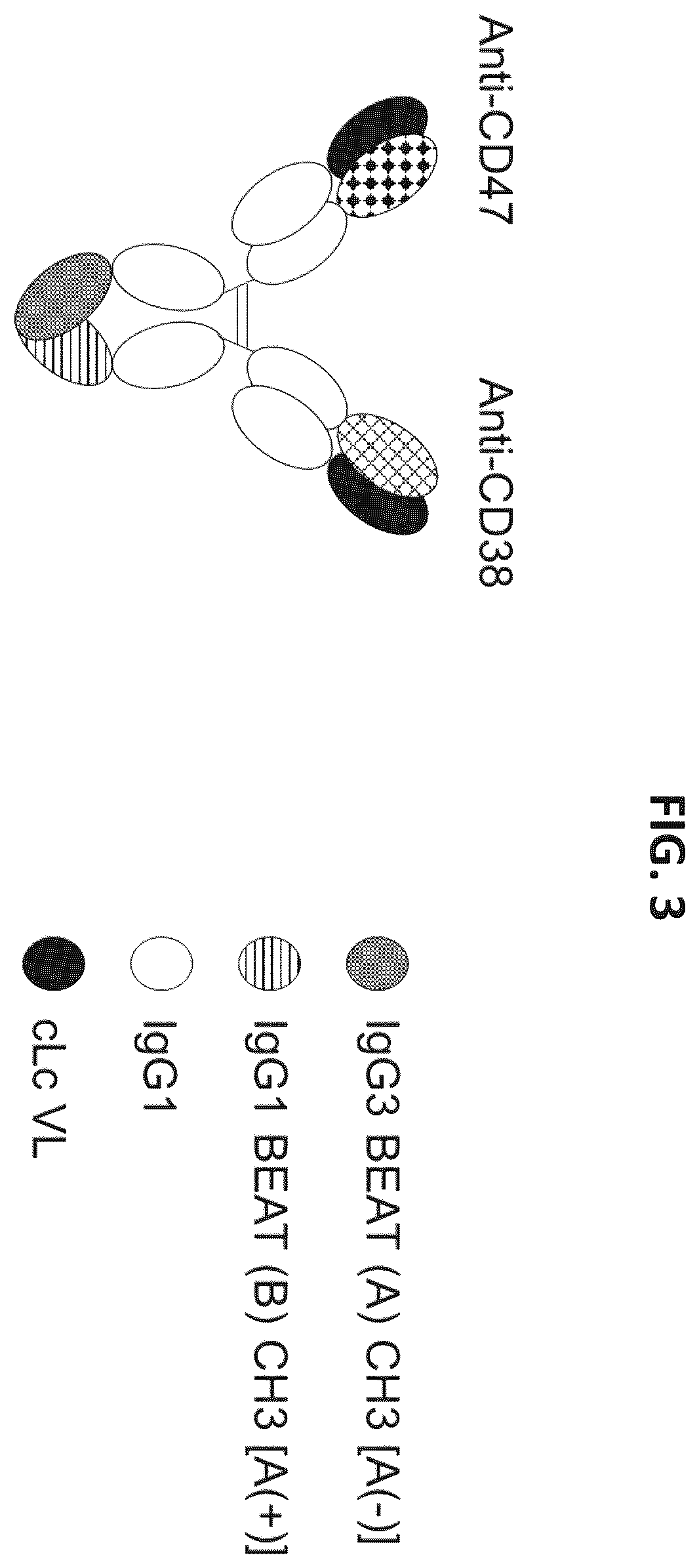 Patent US12338292 Figure 3 – CD47-CD38 bispecific antibodies