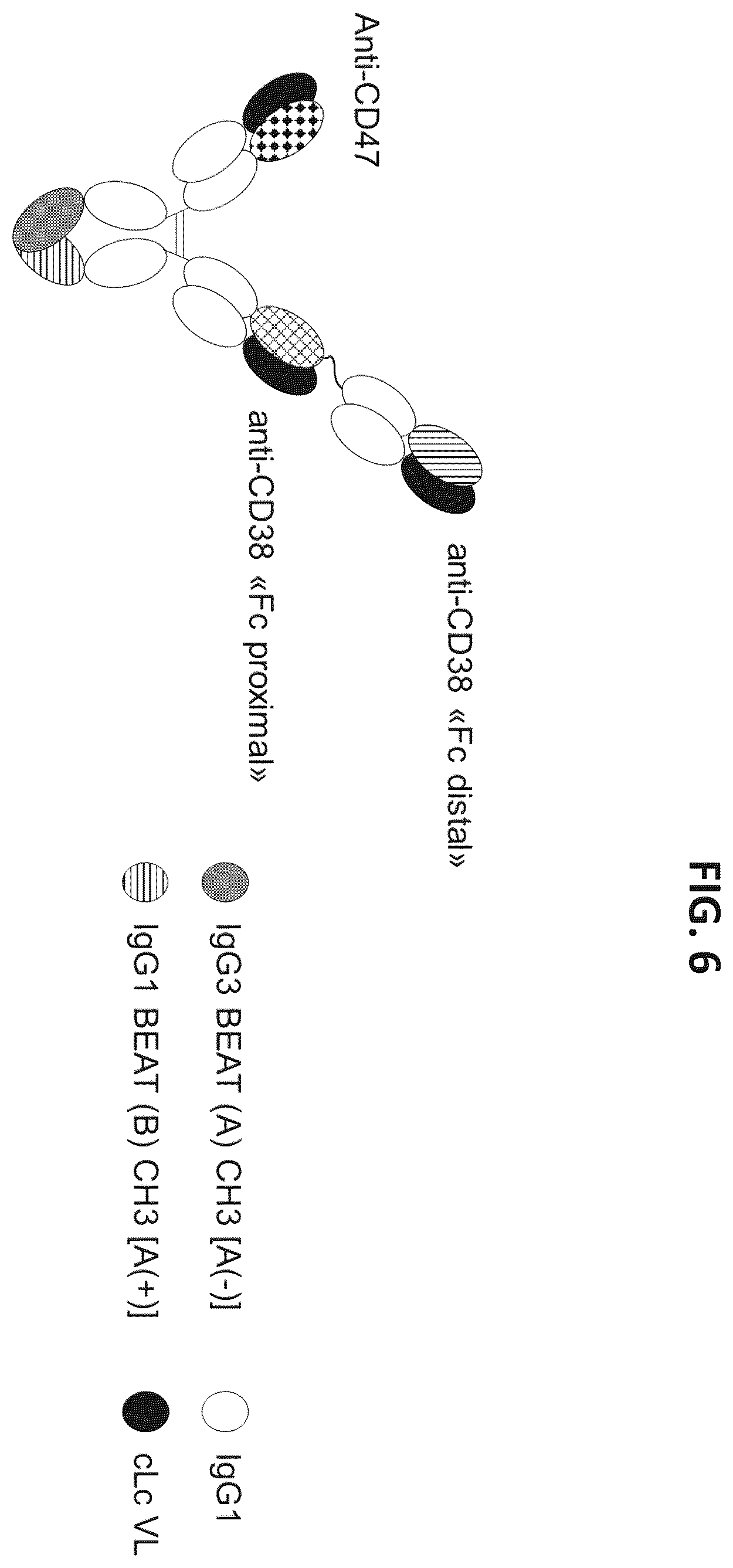 Patent US12338292 Figure 6 – CD47-CD38 bispecific antibodies