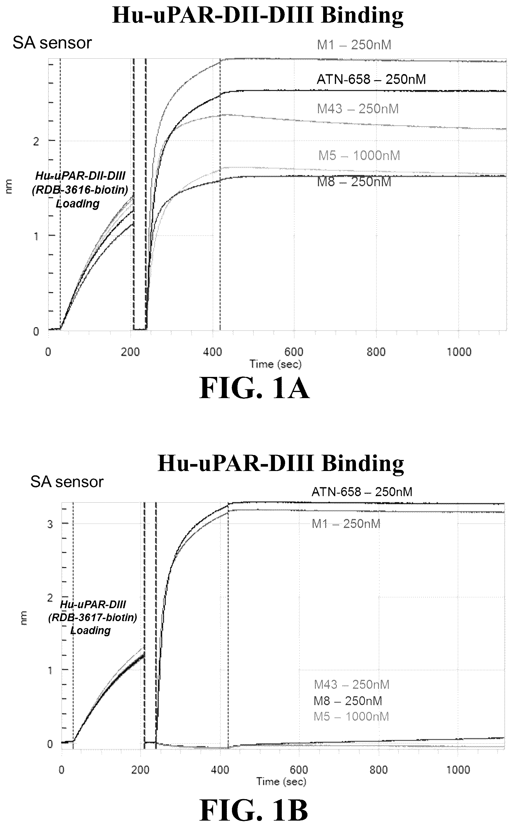 Patent US12338293 Figure 1 – UPAR antibodies and fusion proteins with the same