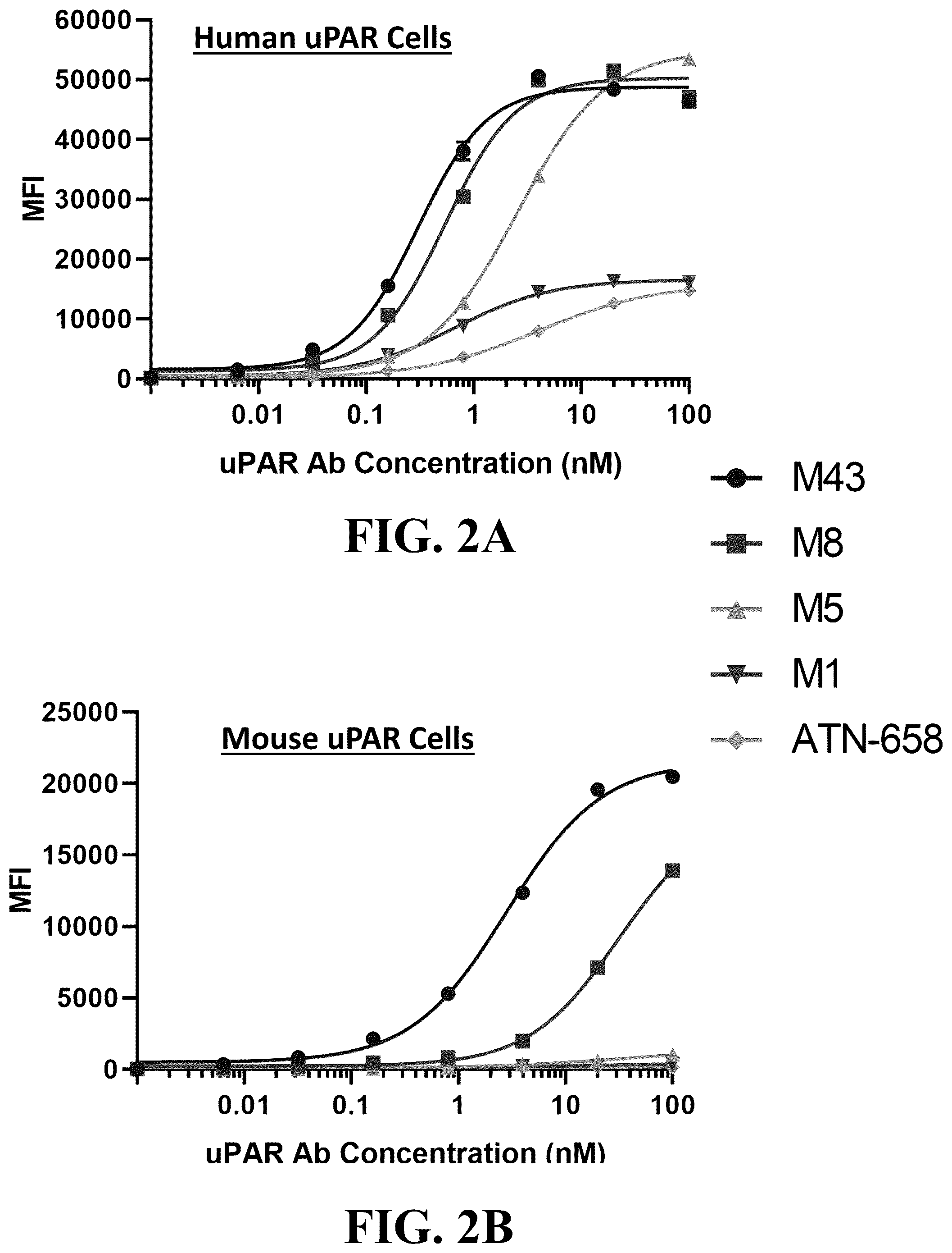 Patent US12338293 Figure 2 – UPAR antibodies and fusion proteins with the same