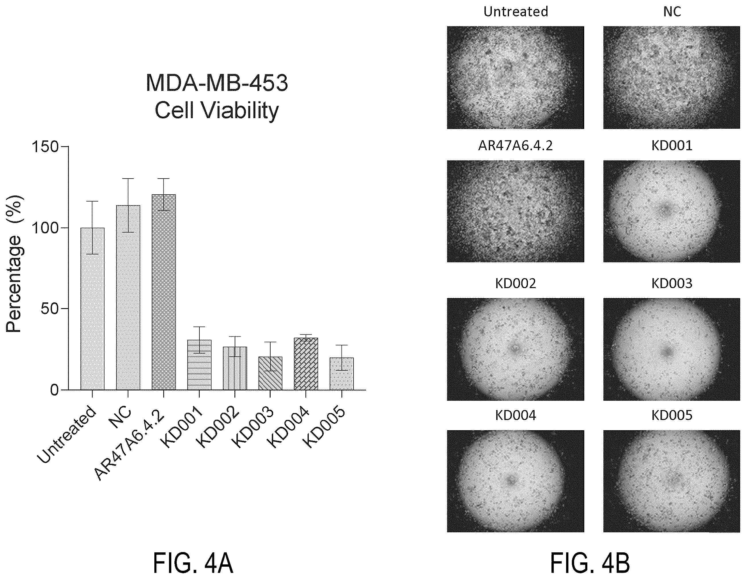 Patent US12338295 Figure 5 – Binding agents targeting TROP2-expressing tumor cells