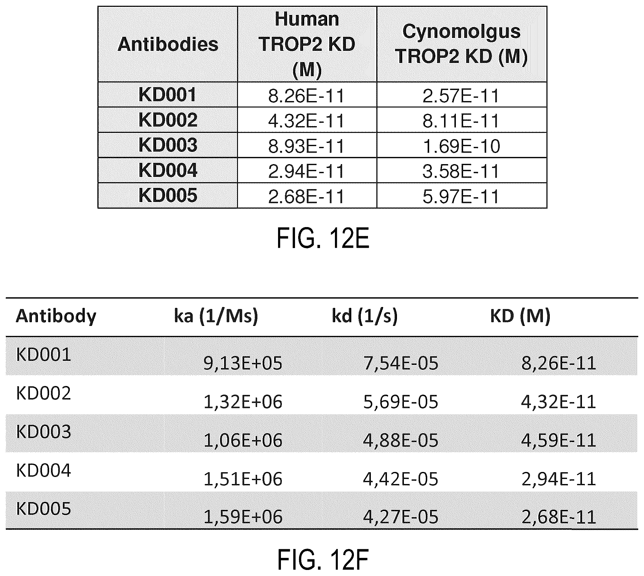 Patent US12338295 Figure 18 – Binding agents targeting TROP2-expressing tumor cells
