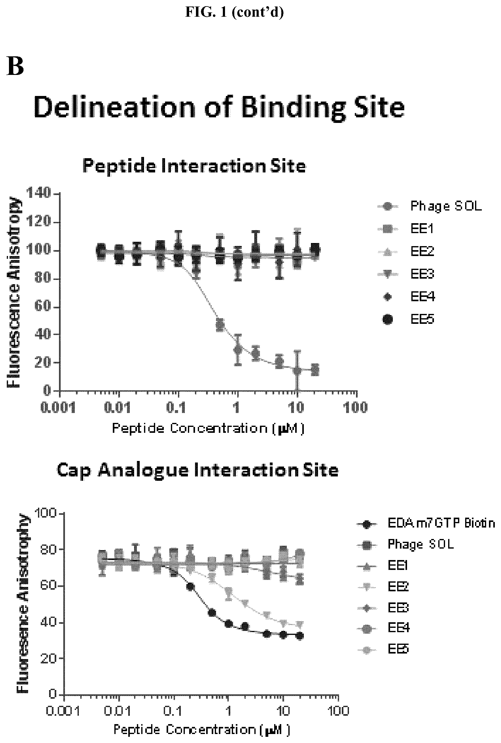 Patent US12338296 Figure 2 – Peptides and compounds that bind to elongation initiation factor 4E