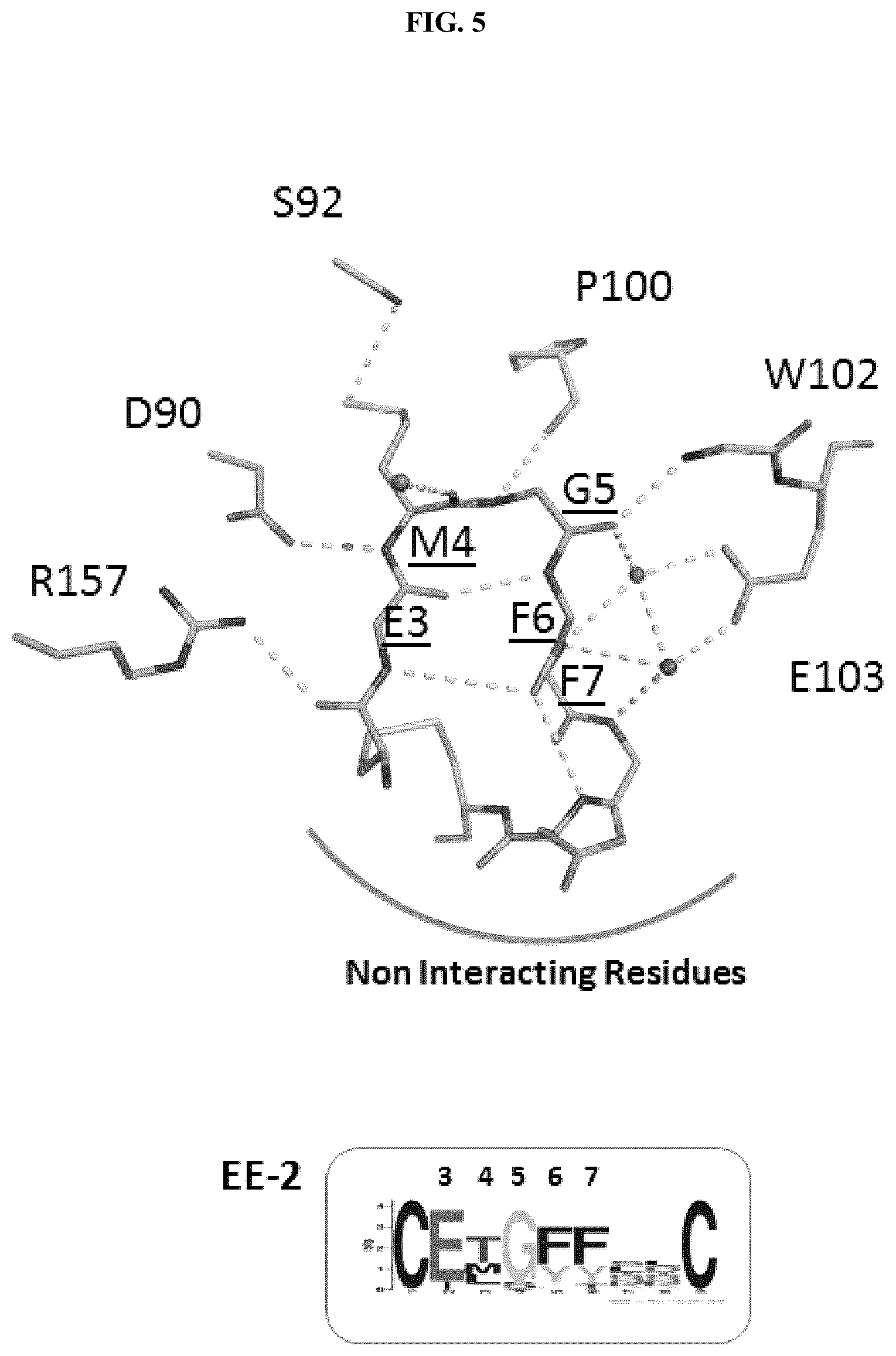 Patent US12338296 Figure 9 – Peptides and compounds that bind to elongation initiation factor 4E