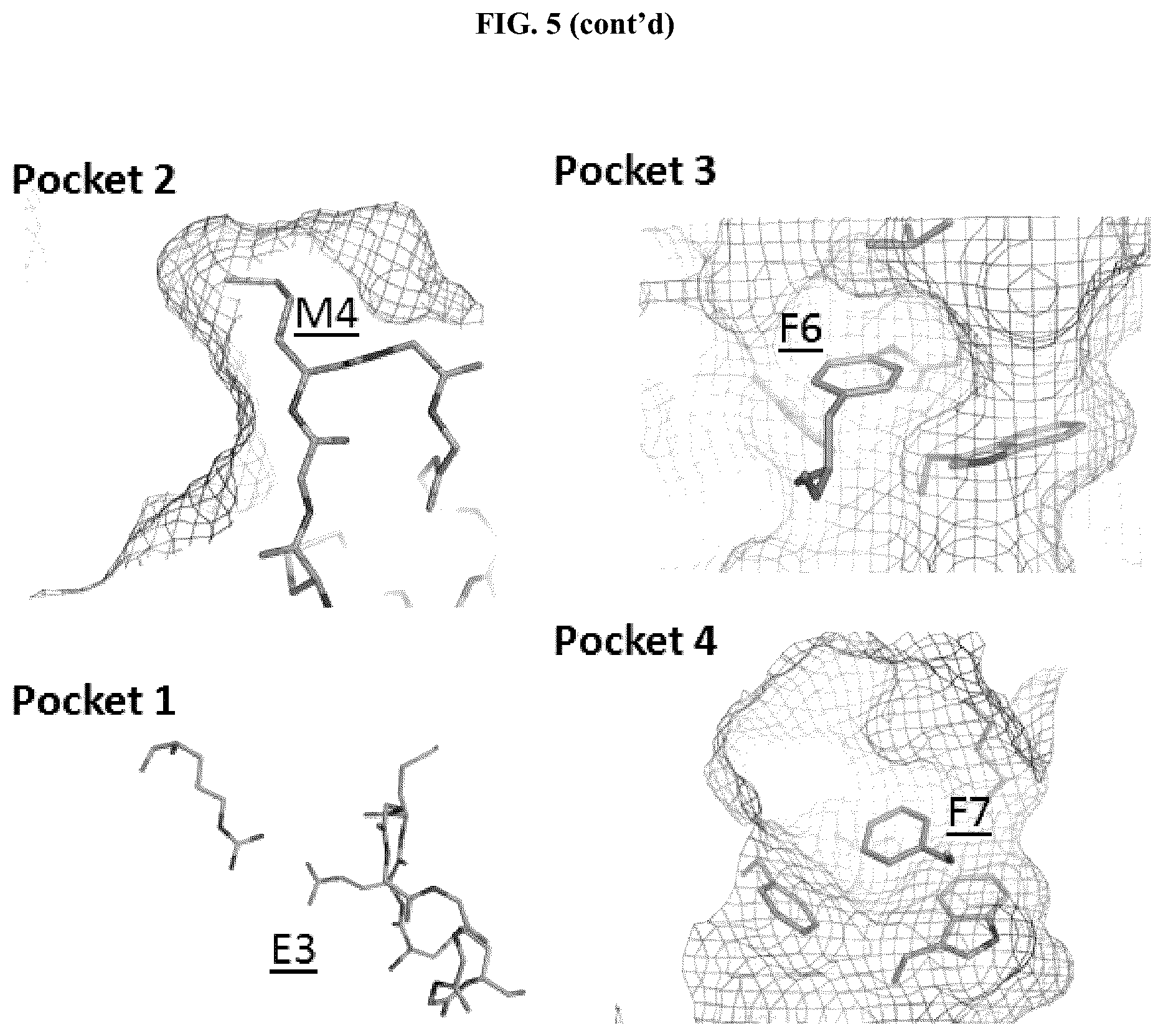 Patent US12338296 Figure 10 – Peptides and compounds that bind to elongation initiation factor 4E