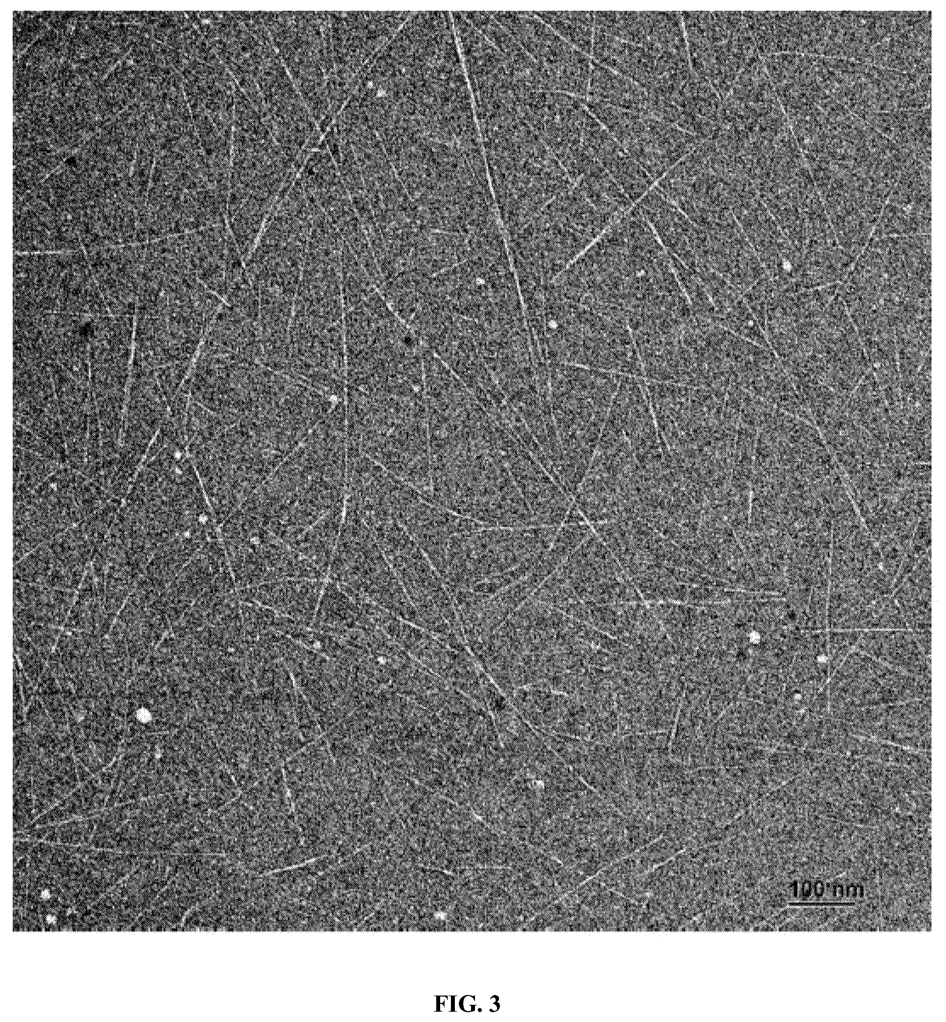 Patent US12338297 Figure 3 – Method for obtaining sulfated nanoparticles of cellulose and mannan from endosperms