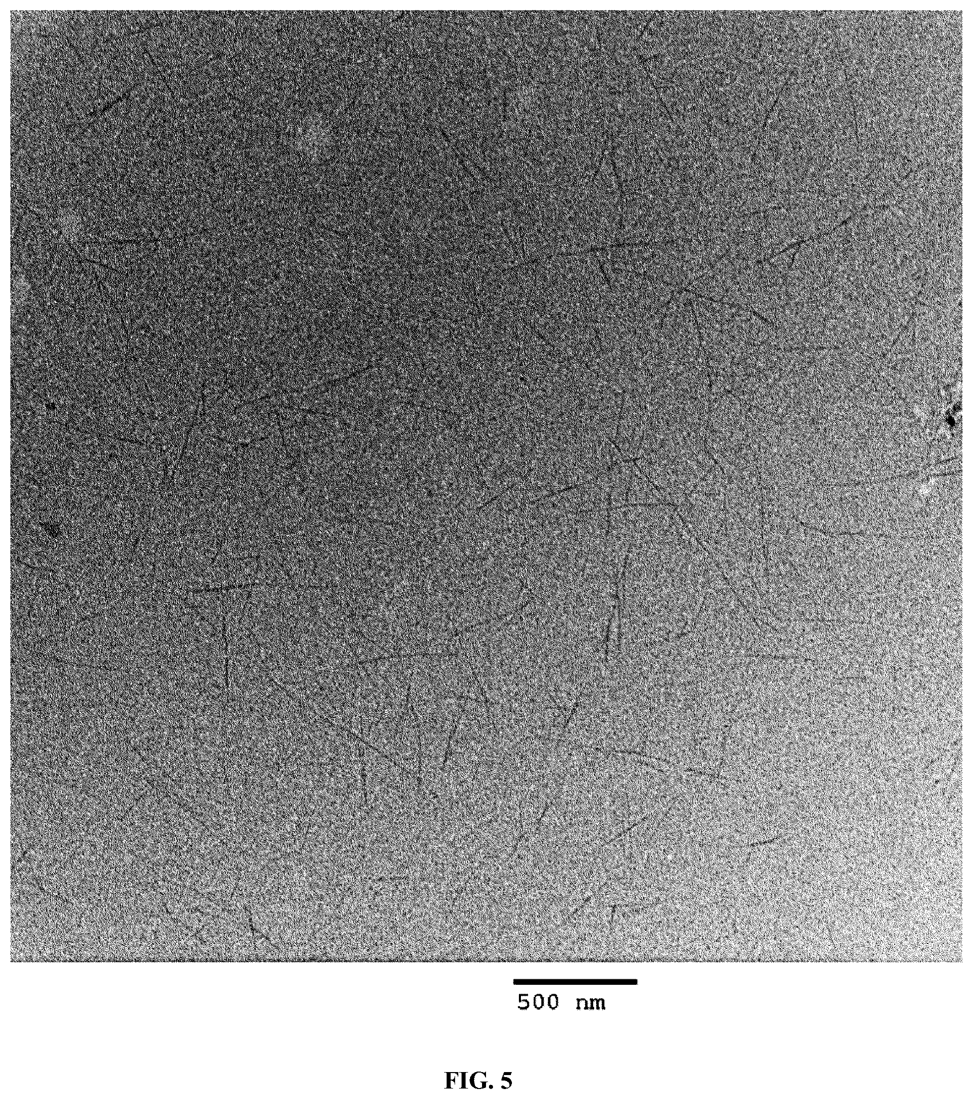 Patent US12338297 Figure 5 – Method for obtaining sulfated nanoparticles of cellulose and mannan from endosperms