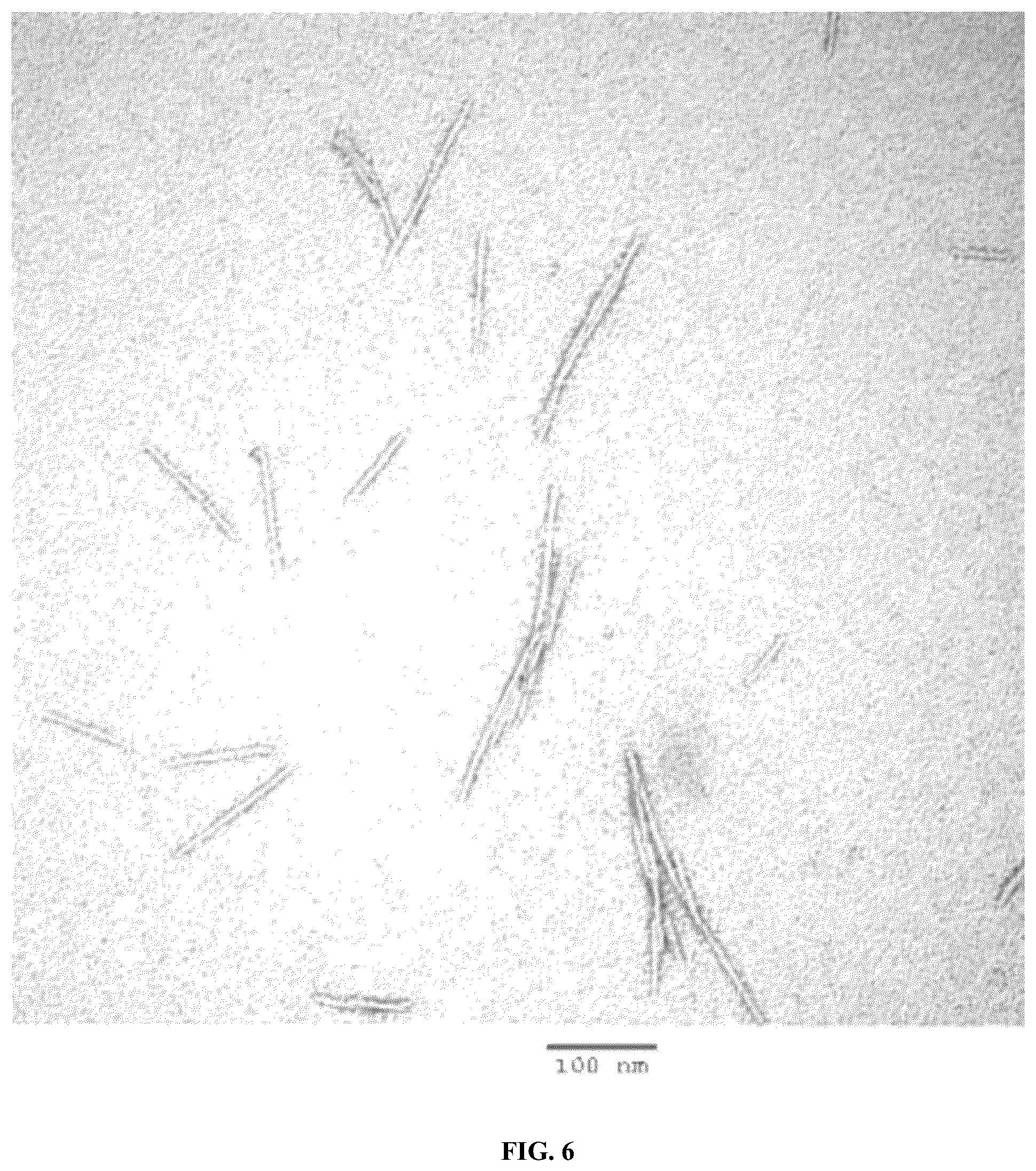 Patent US12338297 Figure 6 – Method for obtaining sulfated nanoparticles of cellulose and mannan from endosperms