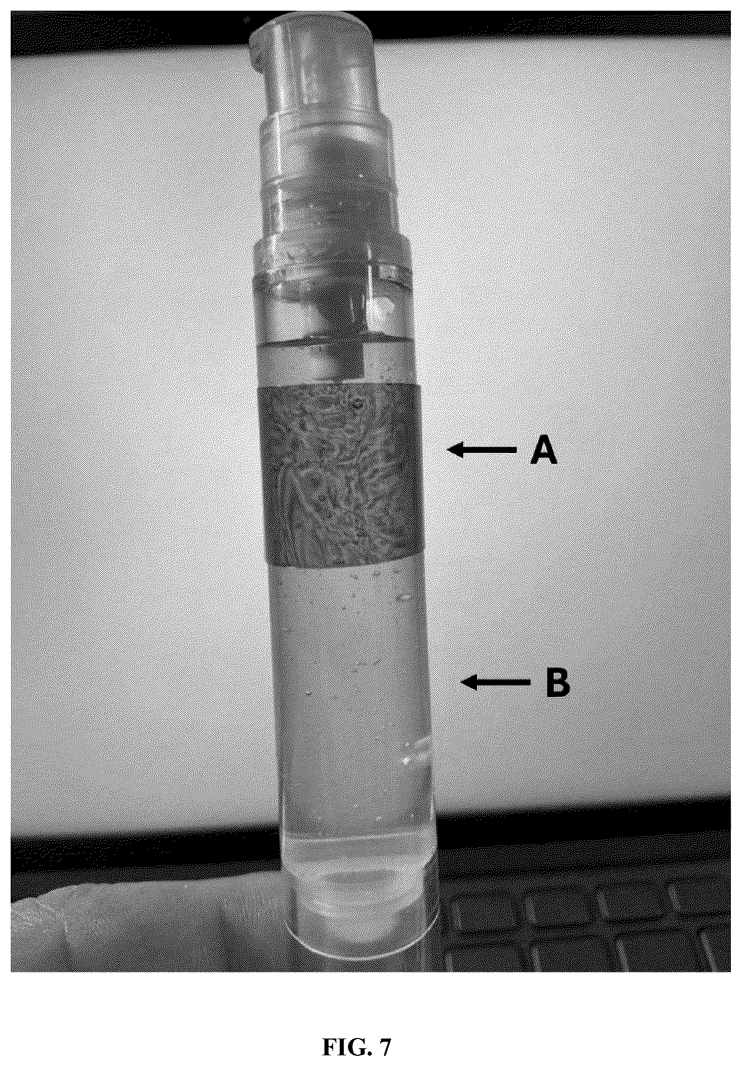 Patent US12338297 Figure 7 – Method for obtaining sulfated nanoparticles of cellulose and mannan from endosperms