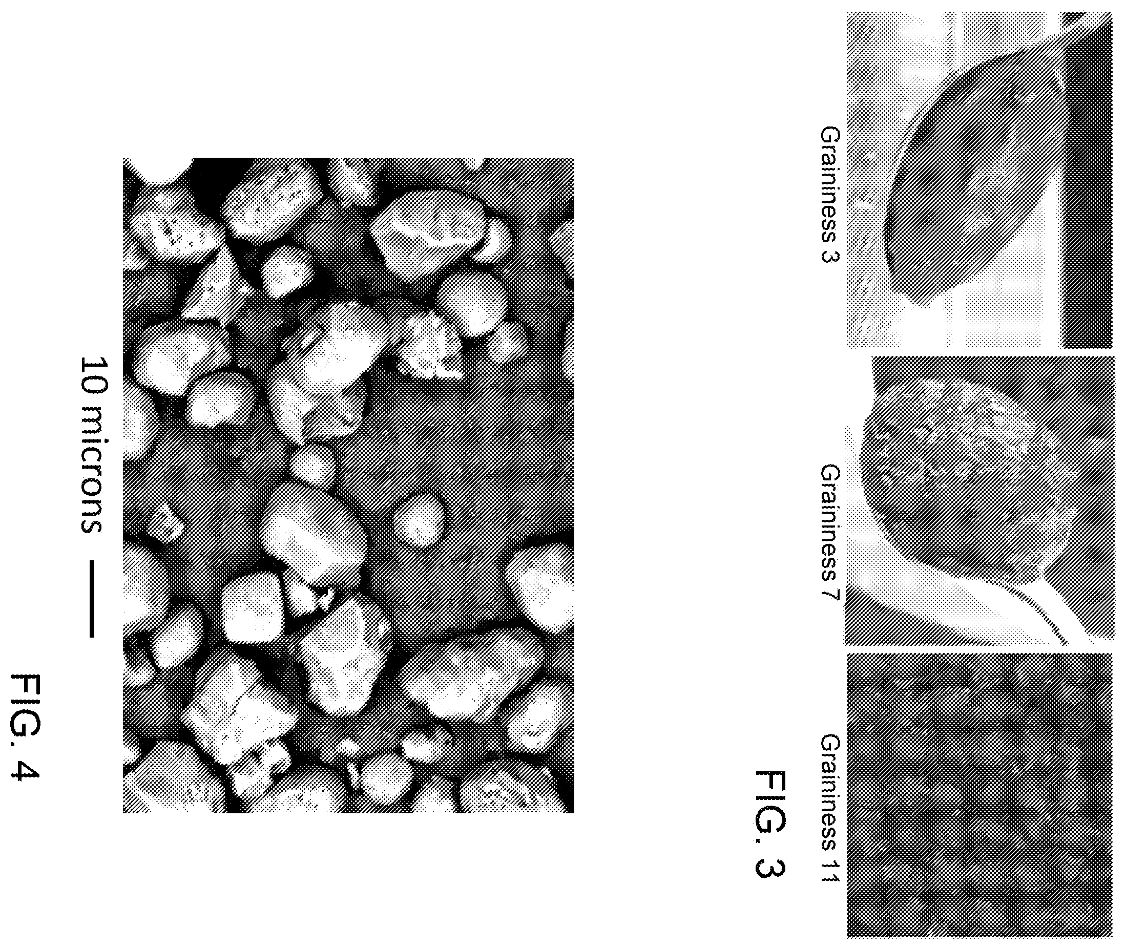 Patent US12338298 Figure 2 – Waxy maize starches and methods of making and using them