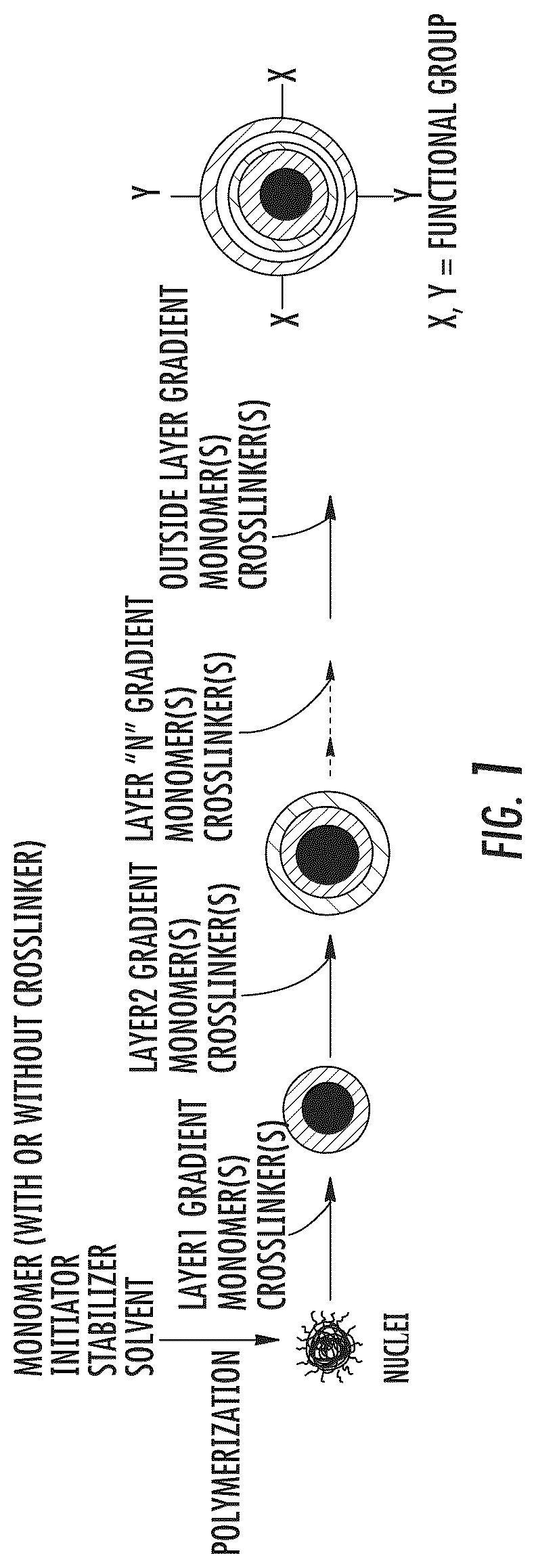 Patent US12338300 Figure 1 – Polymer particles with a gradient composition and methods of production thereof