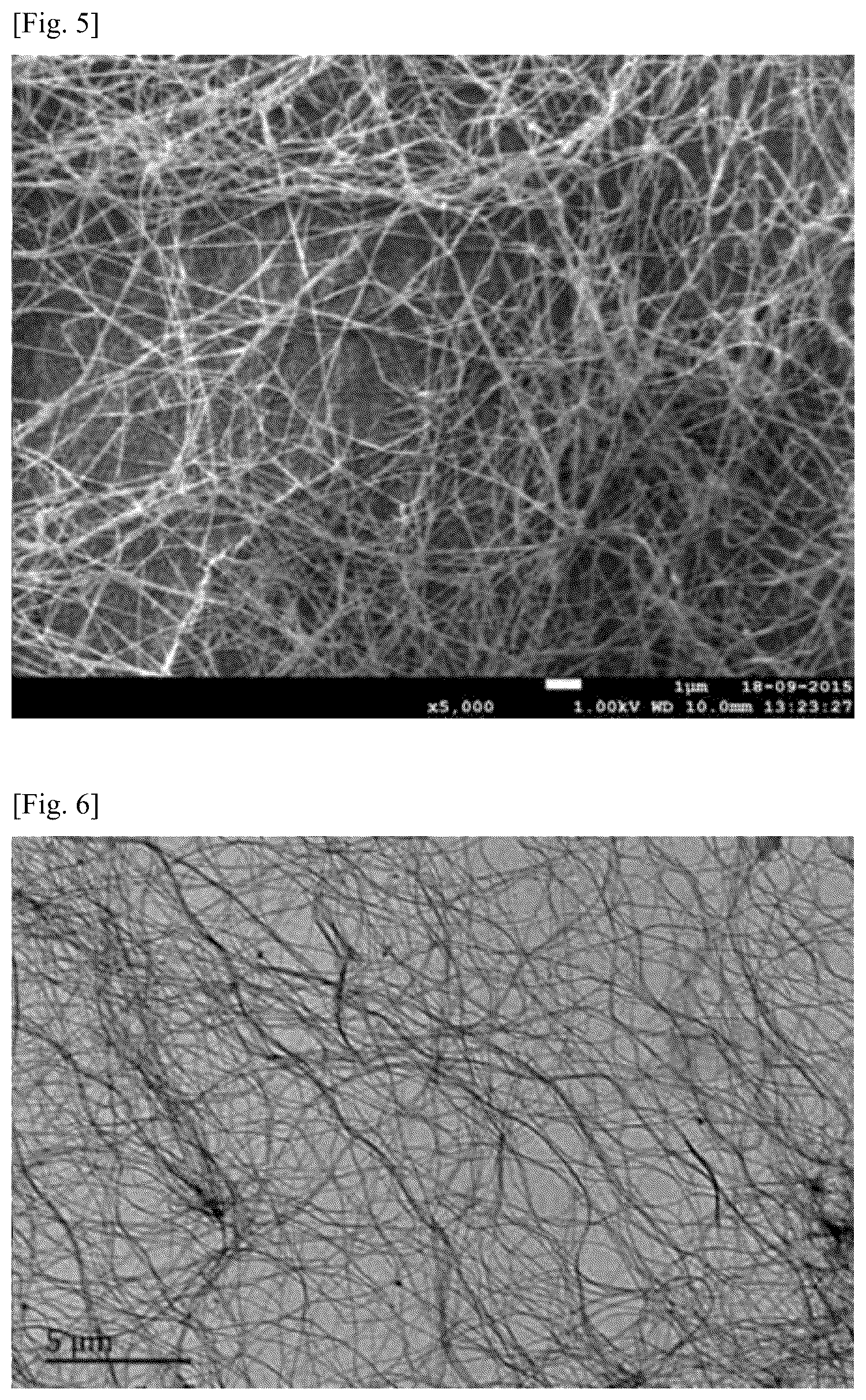 Patent US12338319 Figure 3 – Resin composition, nonwoven fabric and film of biodegradable polyester, and preparation method thereof