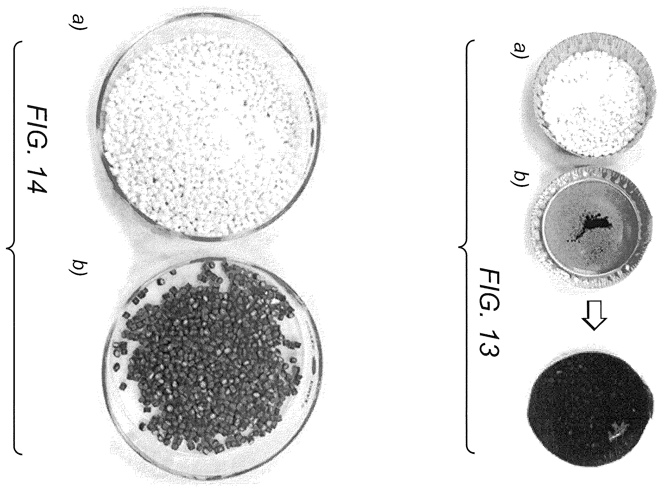 Patent US12338320 Figure 6 – Poly(ethylene terephthalate)-graphene nanocomposites from improved dispersion