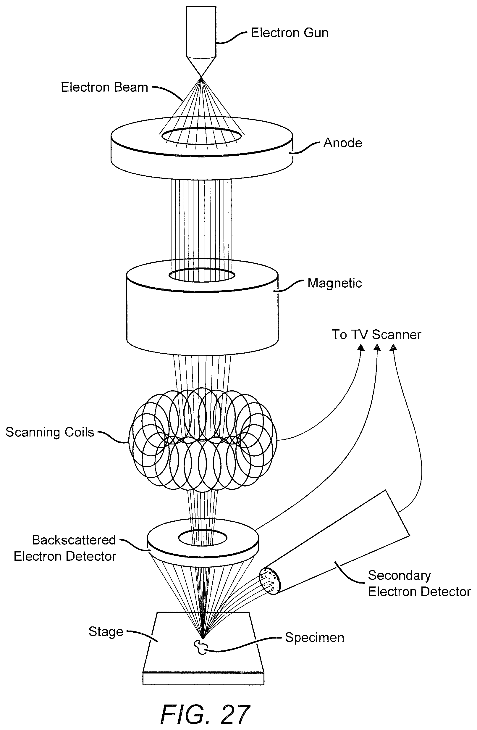 Patent US12338320 Figure 13 – Poly(ethylene terephthalate)-graphene nanocomposites from improved dispersion