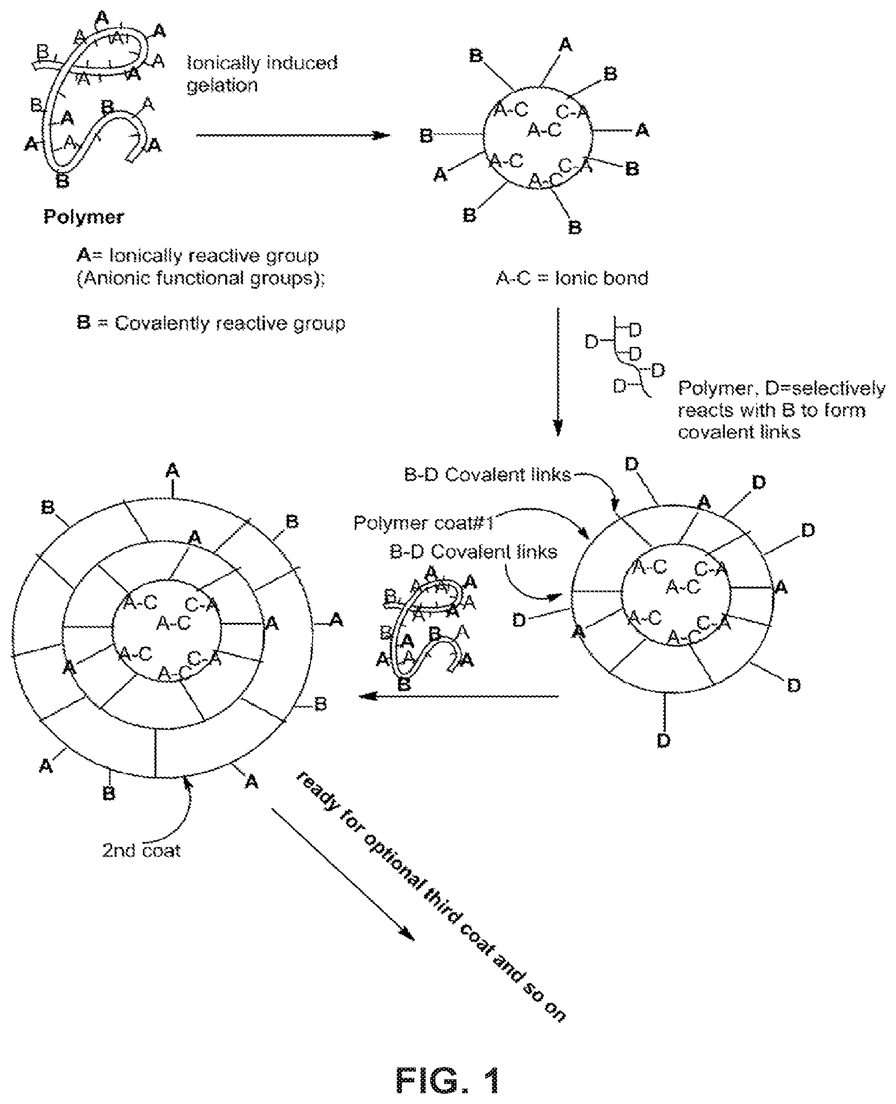 Patent US12338330 — Alginate hydrogel compositions — Figure 1