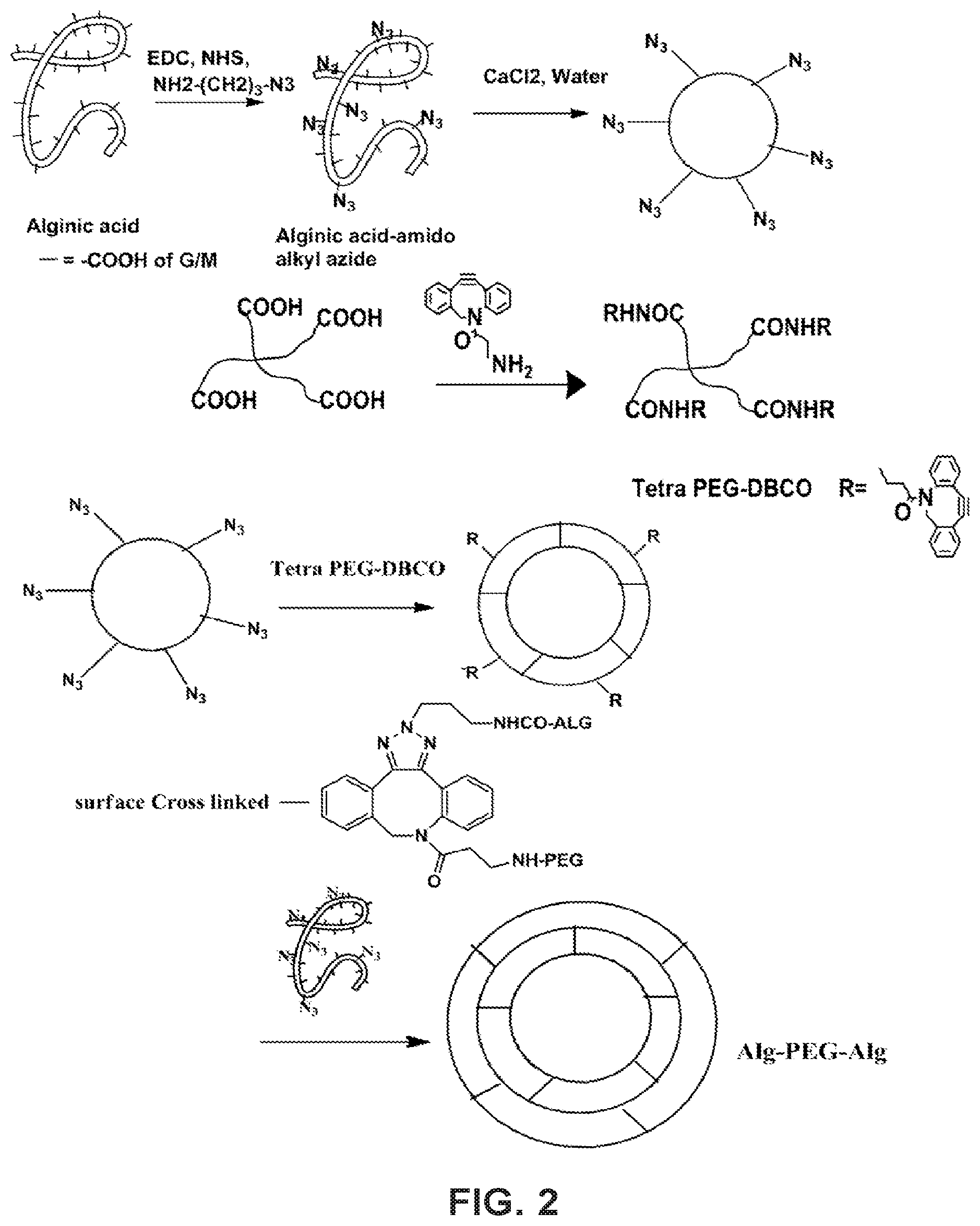 Patent US12338330 Figure 2 – Alginate hydrogel compositions