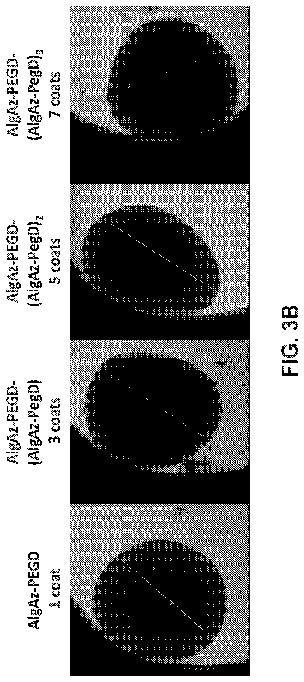 Patent US12338330 Figure 4 – Alginate hydrogel compositions