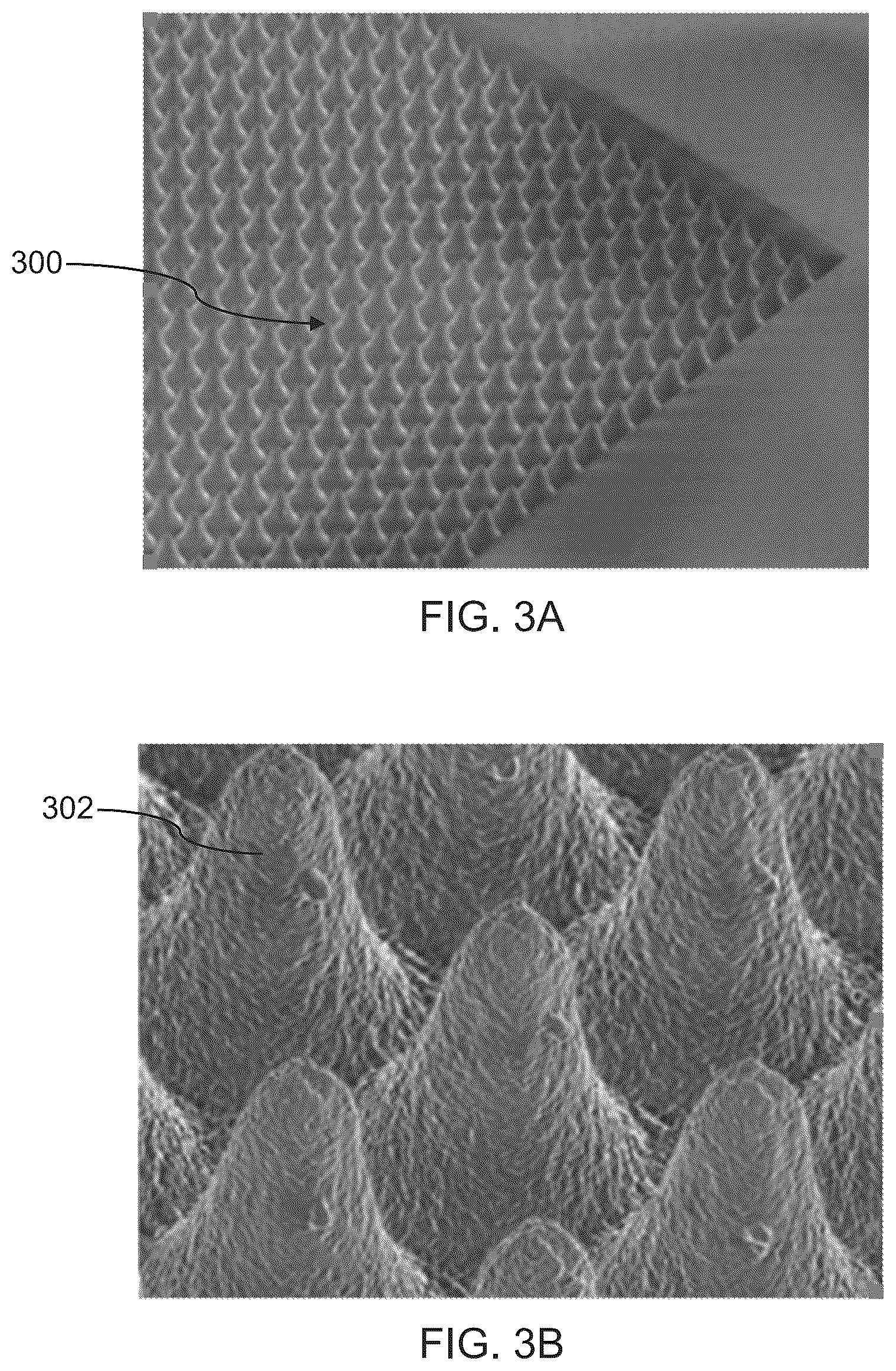Patent US12338365 Figure 3 – Pigmented multifunctional barrier coating compositions