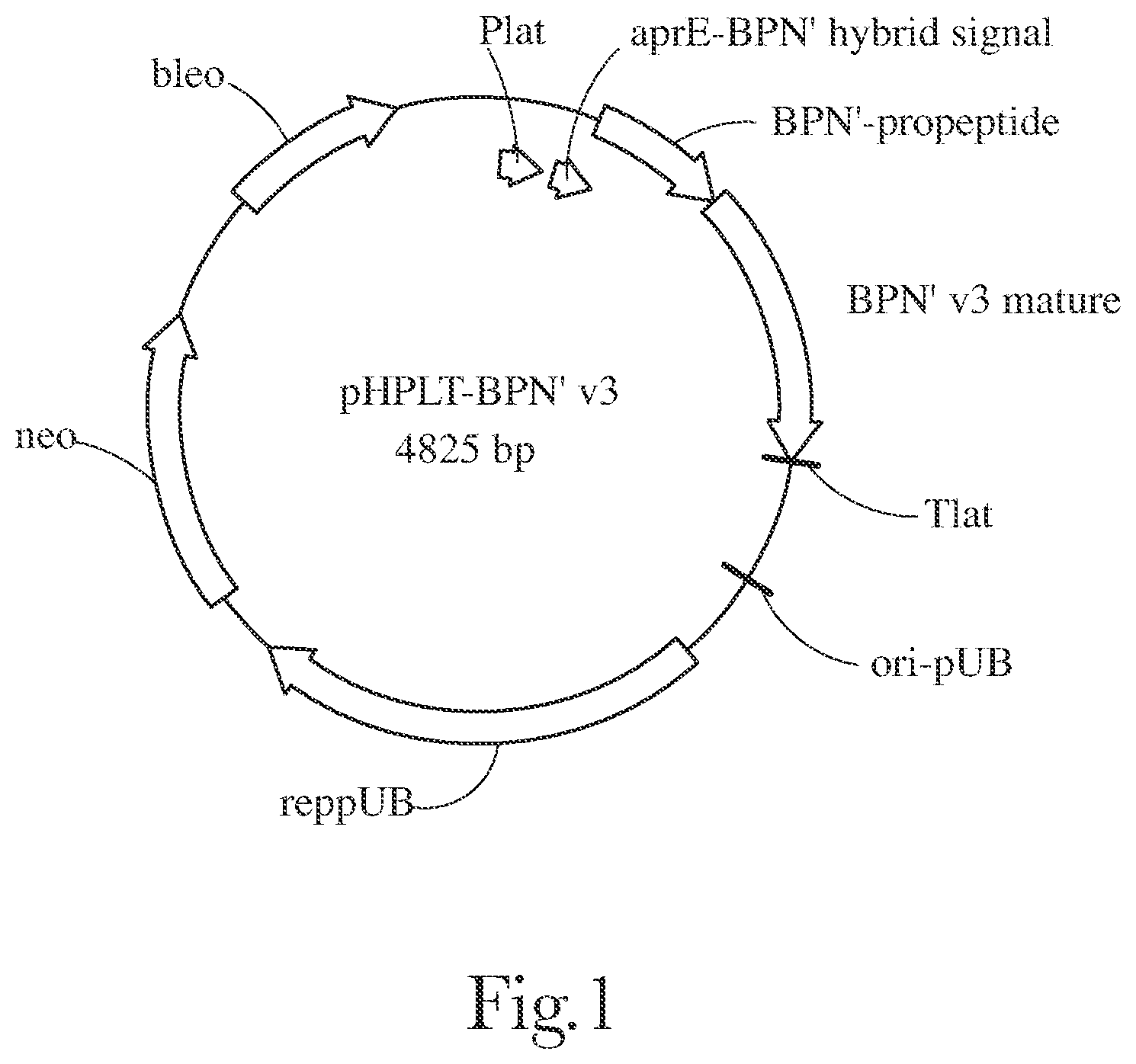 Patent US12338416 Figure 1 – Fabric and home care products with cold water protease
