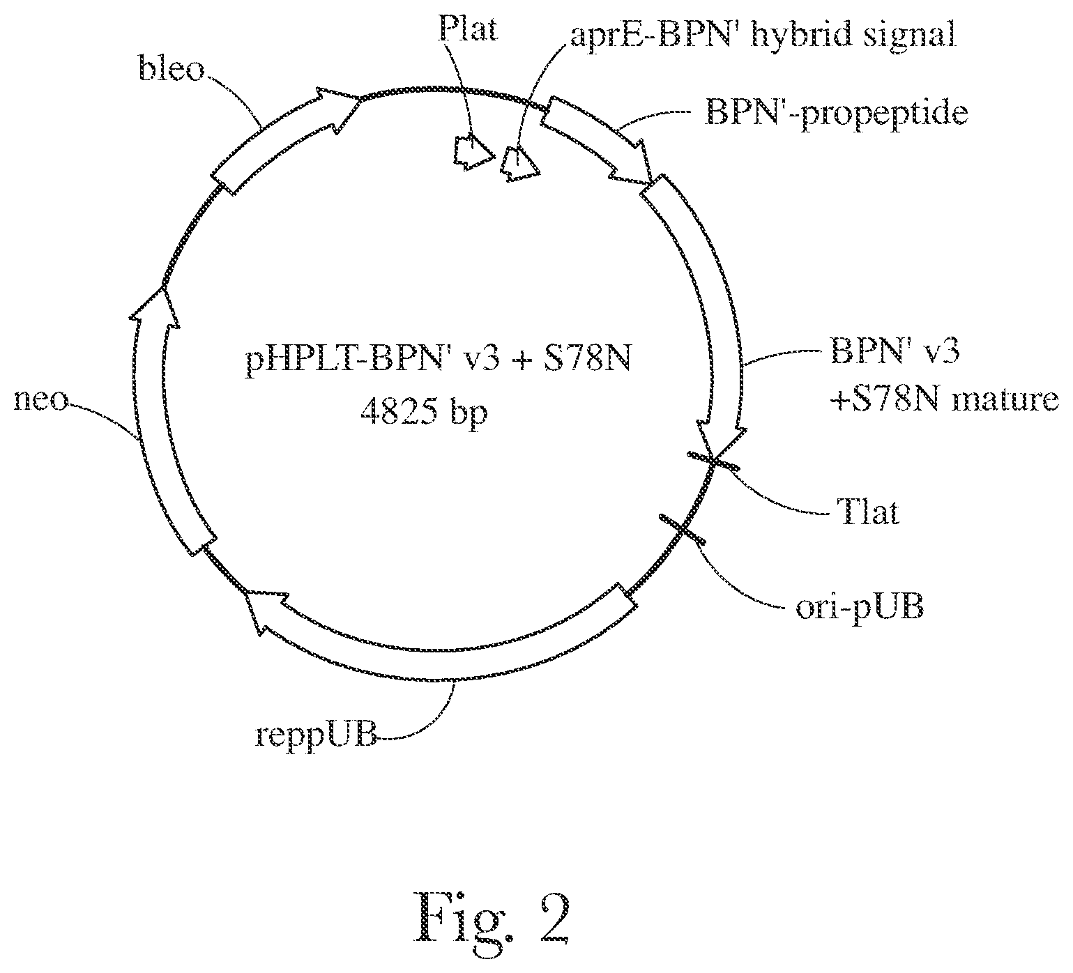 Patent US12338416 Figure 2 – Fabric and home care products with cold water protease