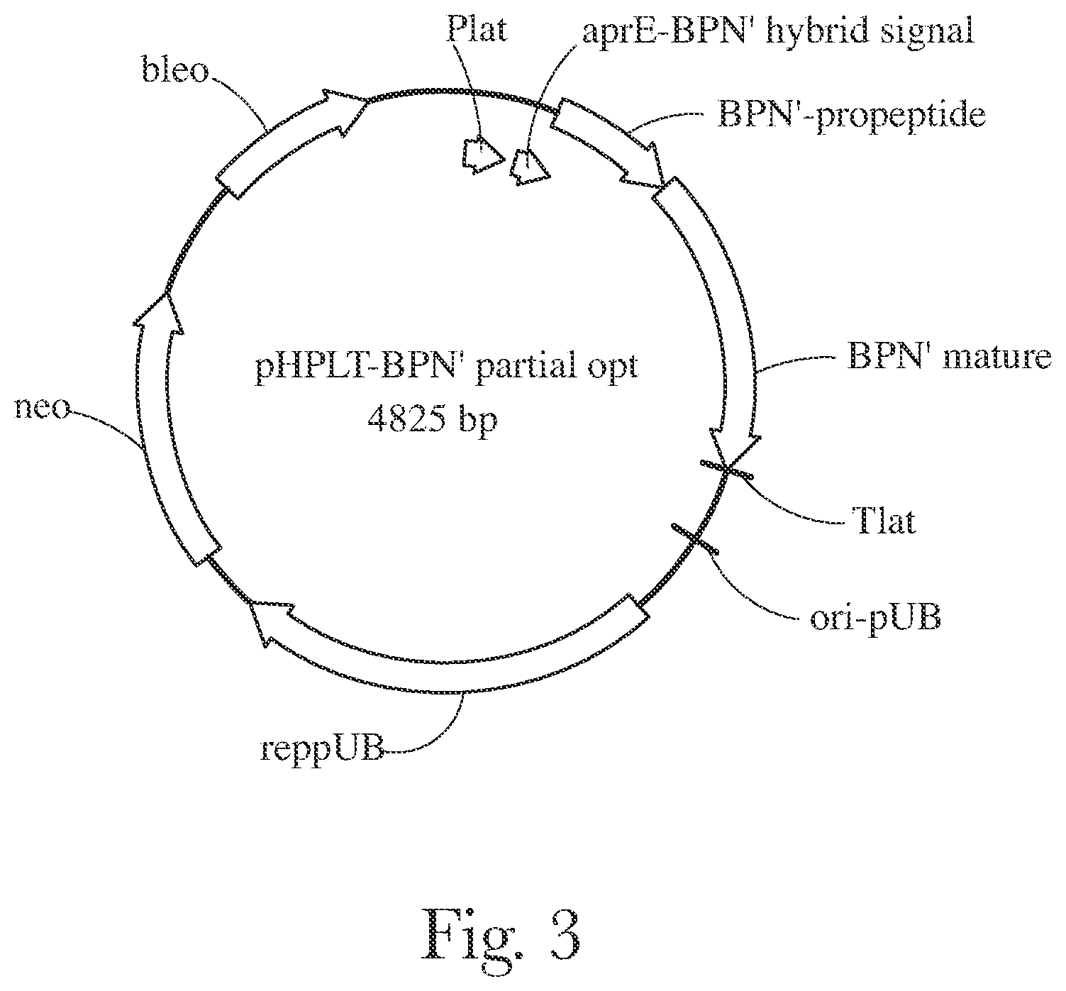Patent US12338416 Figure 3 – Fabric and home care products with cold water protease