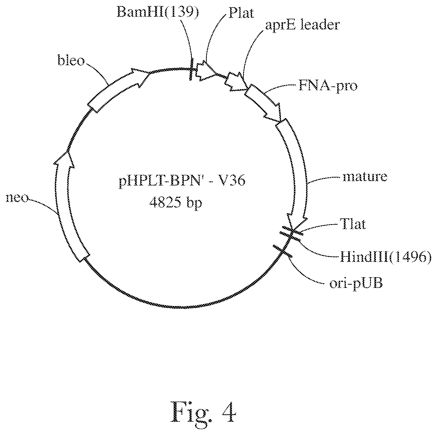 Patent US12338416 Figure 4 – Fabric and home care products with cold water protease