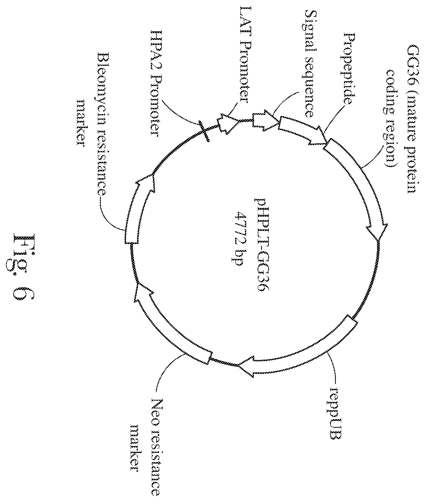 Patent US12338416 Figure 6 – Fabric and home care products with cold water protease