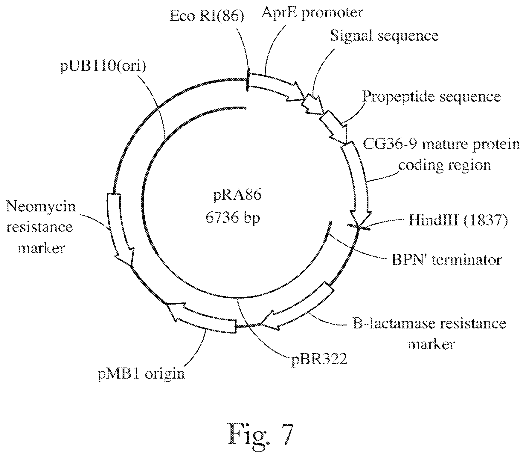 Patent US12338416 Figure 7 – Fabric and home care products with cold water protease