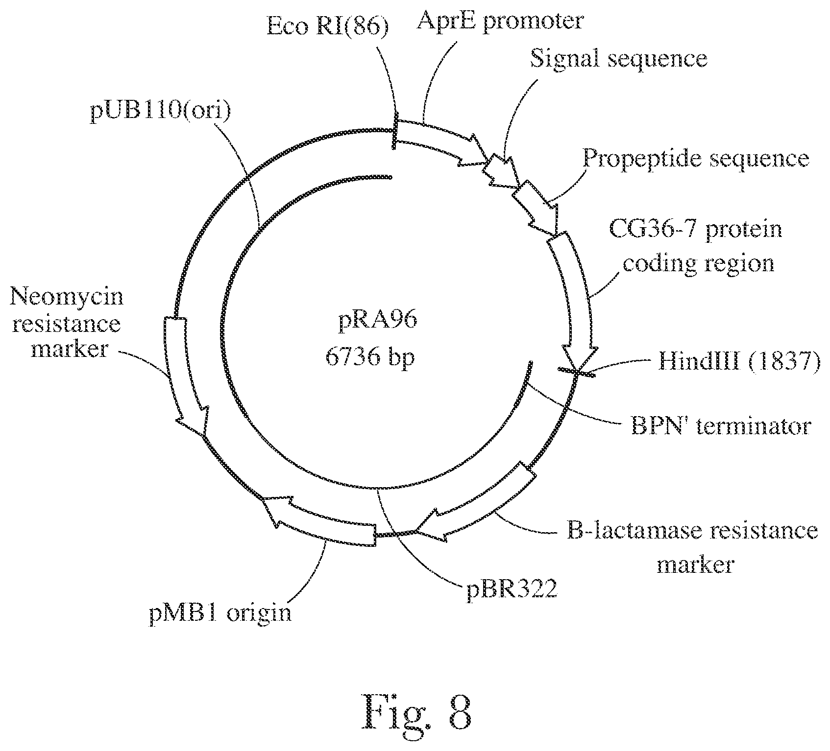 Patent US12338416 Figure 8 – Fabric and home care products with cold water protease