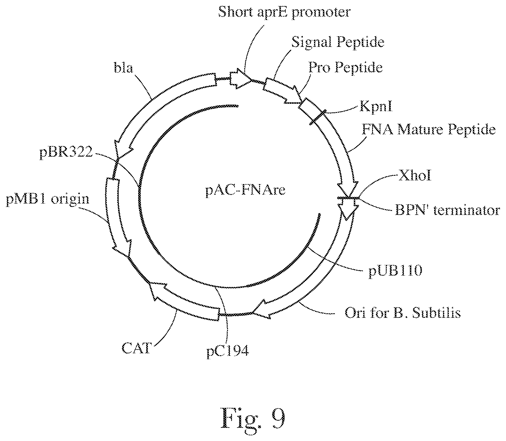 Patent US12338416 Figure 9 – Fabric and home care products with cold water protease